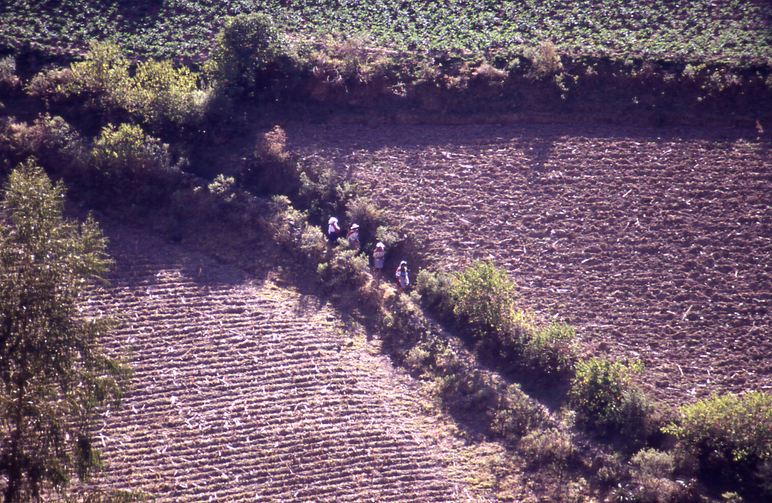 MOROCHATA, BOLIVIA.jpeg