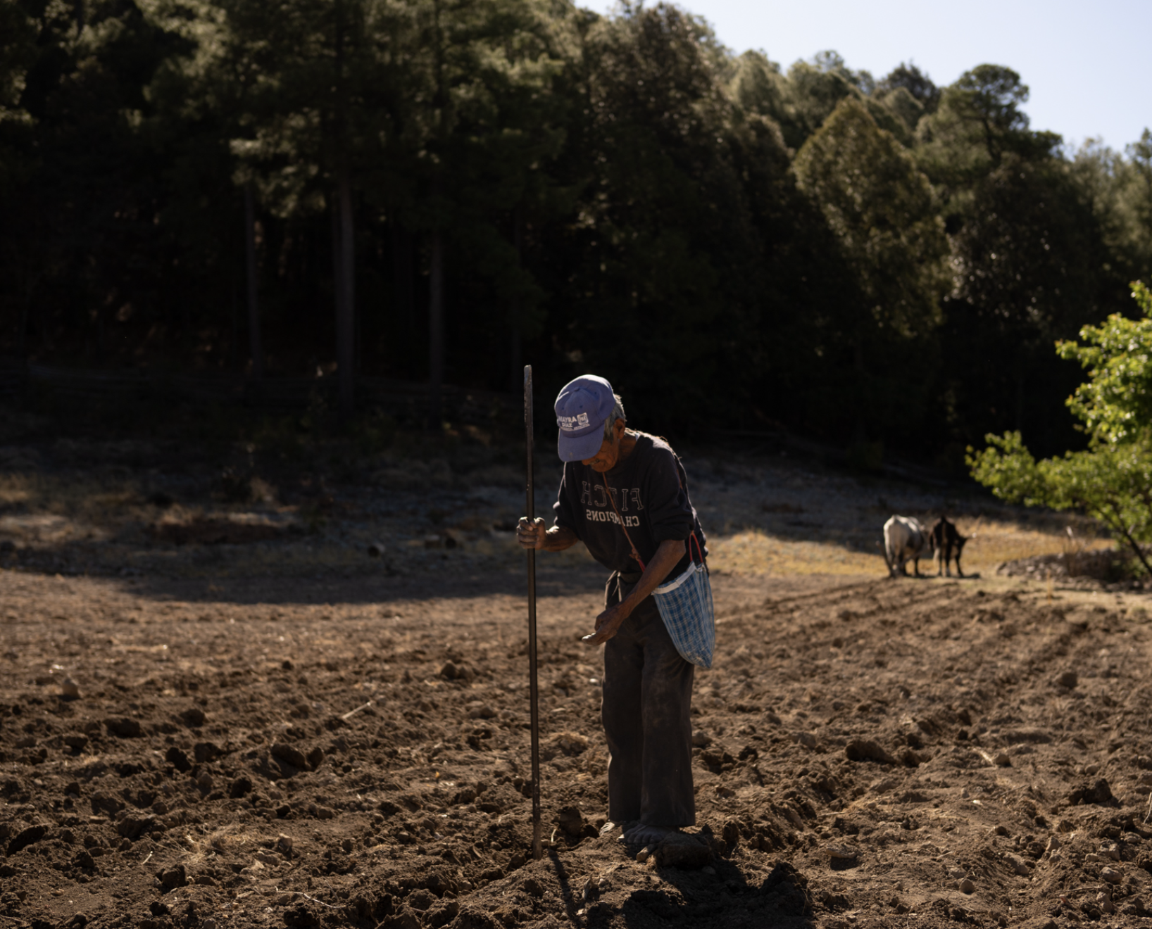 Captura de pantalla 2024-09-13 a la(s) 5.05.02 p.m..png