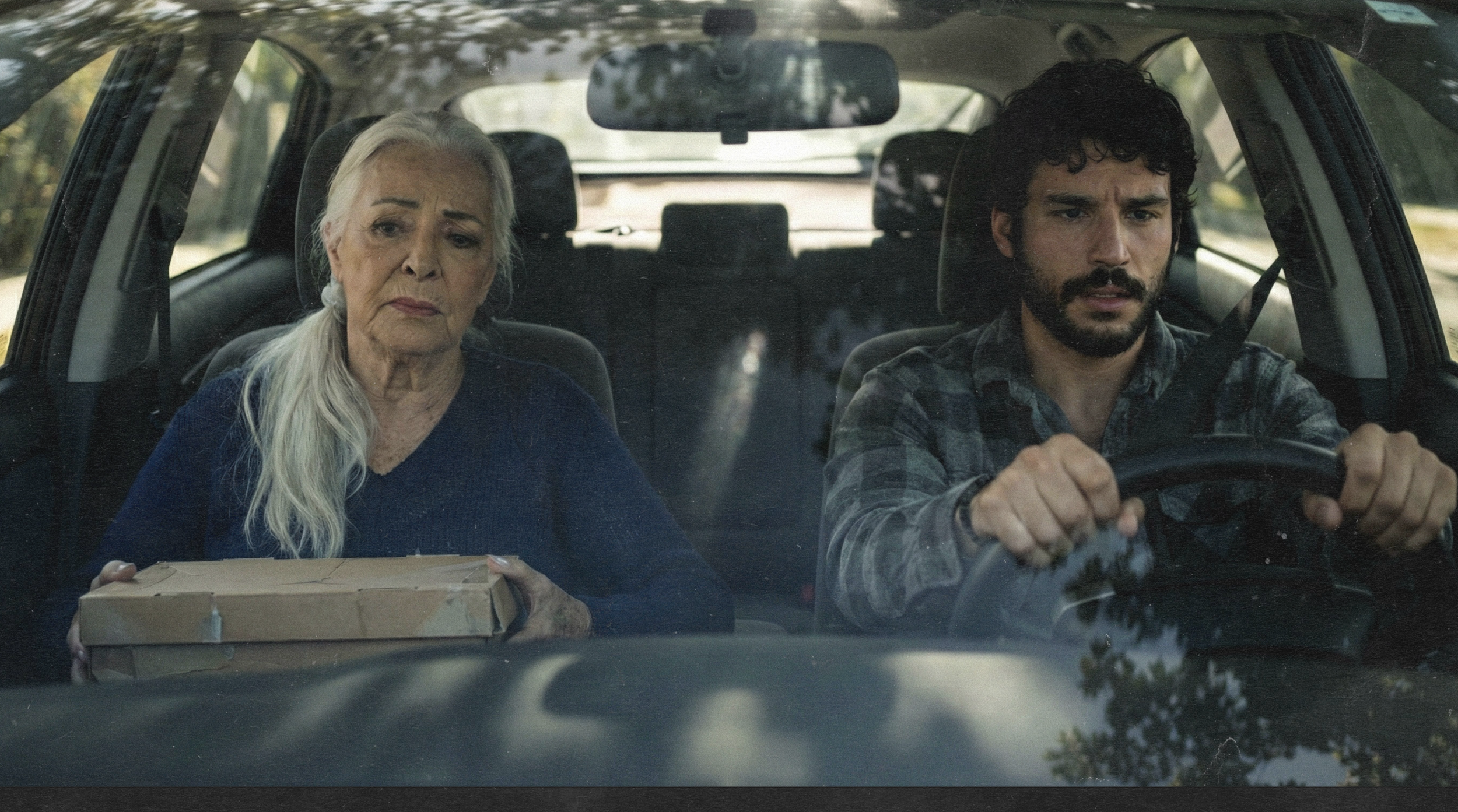 What the Cat Dragged in