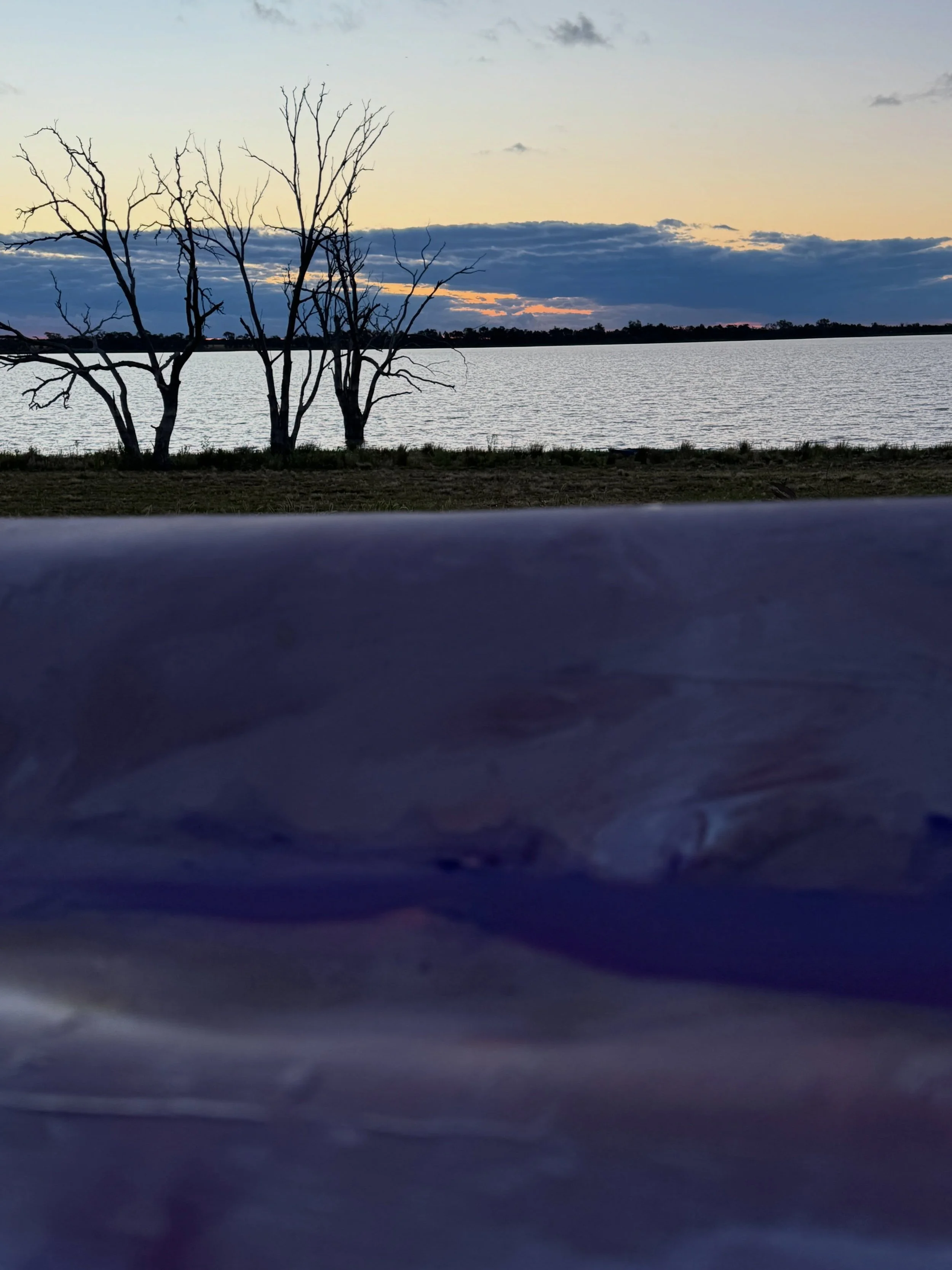 Day 2- Paika Station, Balranald
After the rain.
The birds and frogs were delighted.
When choosing some colours for this trip I had quickly thrown in an Ultramarine Violet.
With the addition of gold, I&rsquo;ve made a start.
It will sit overnight and 