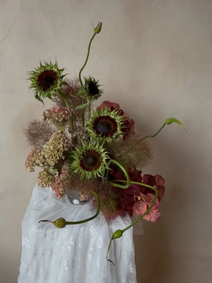 driving through Italy once, I saw a field of sunflowers with their heads browned and turned down to the ground, quite hauntingly. And that was the day I decided that I did, indeed, like sunflowers ✨ but mostly this poetic, darker version of them