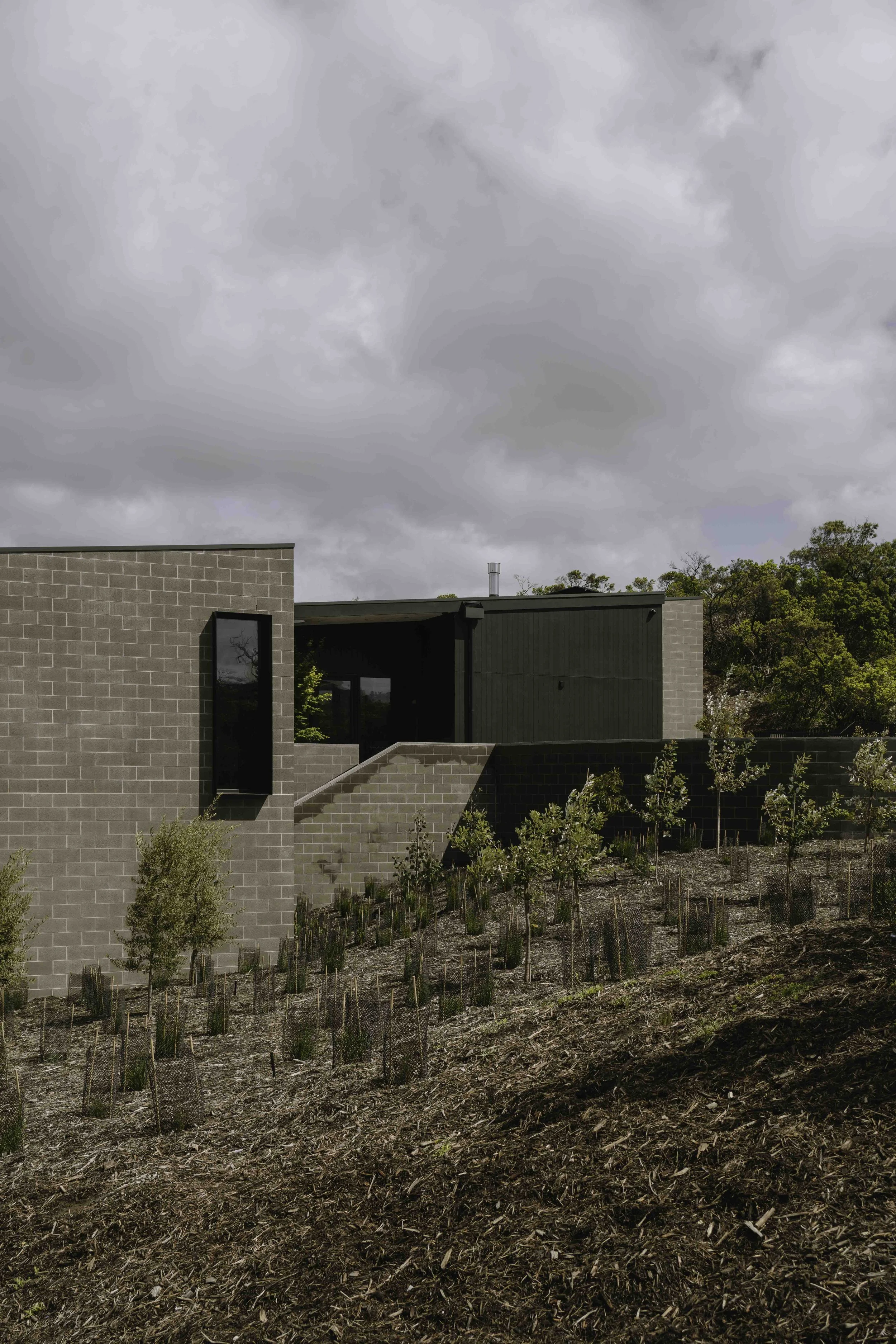 190_ St Andrews Beach - Aych Architects-to-edit-02.jpg