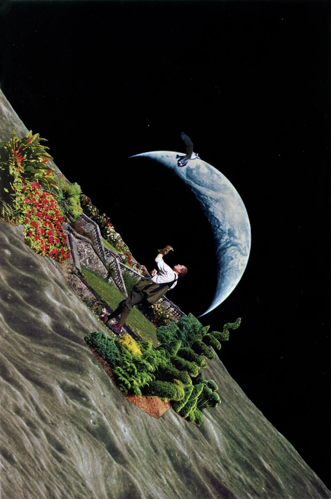 lunar-falconry001.jpg