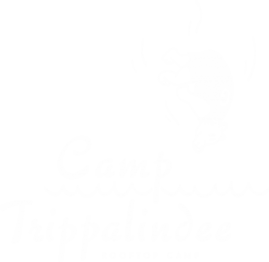 Camp Trippalindee - Graduate Madison - Madison Comedy Week