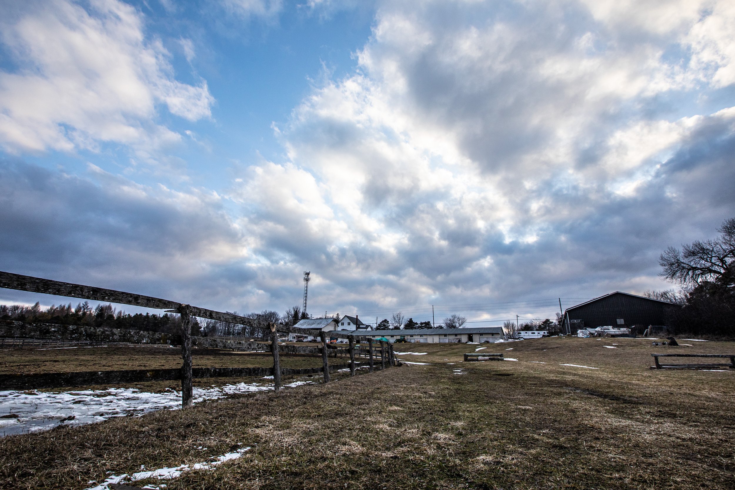Early springtime at the farm