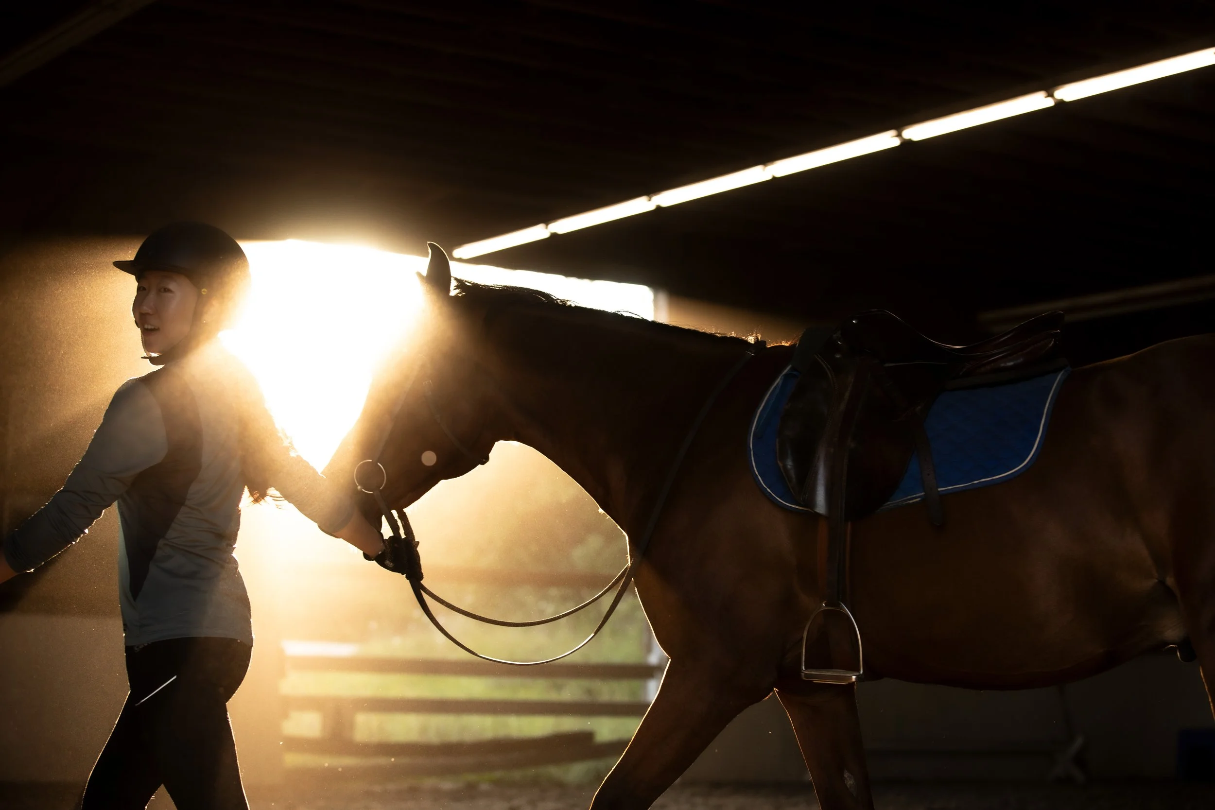 Prince getting ready for a lesson 