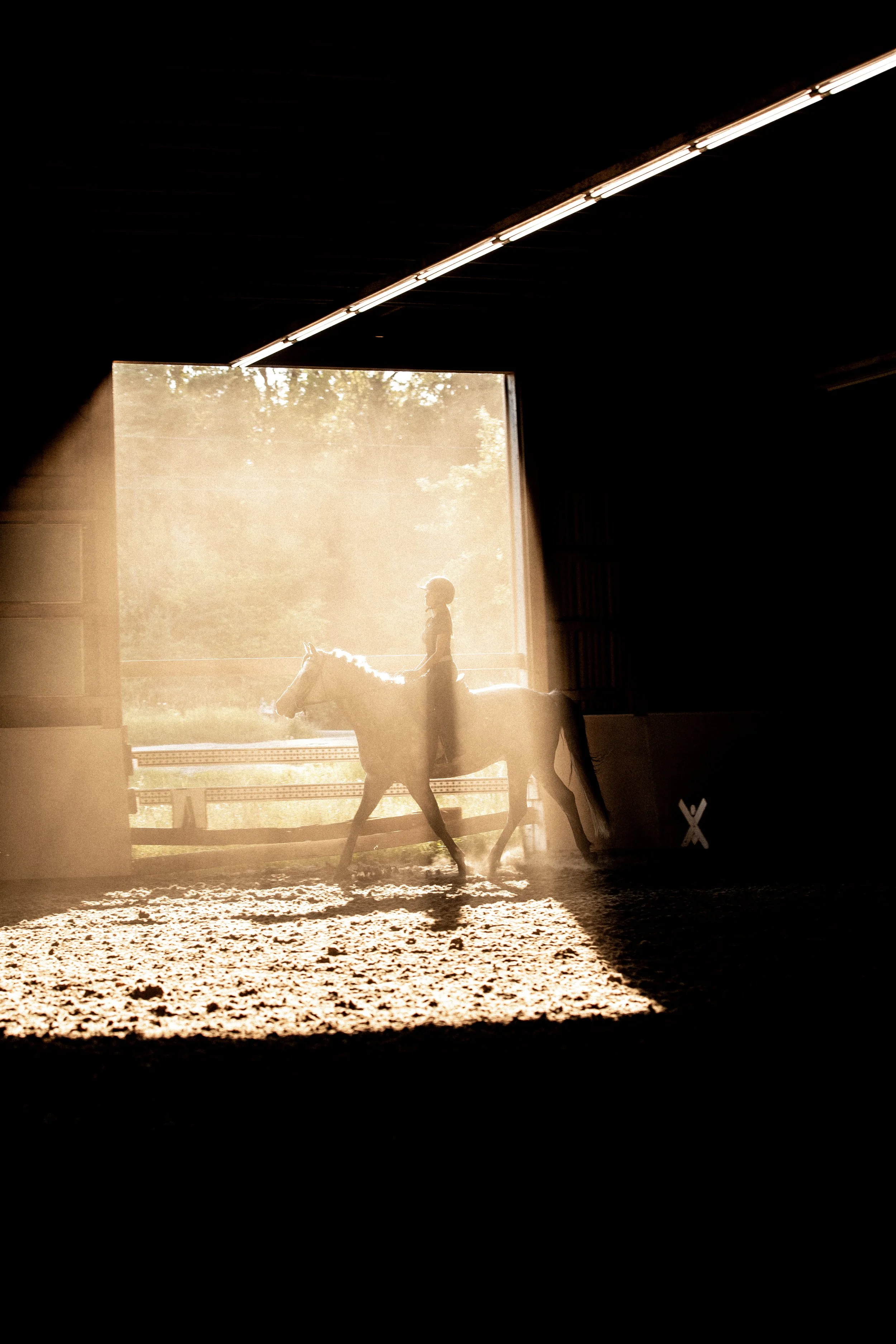 A summer evening lesson with Liv & Sterling