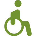 disability.png