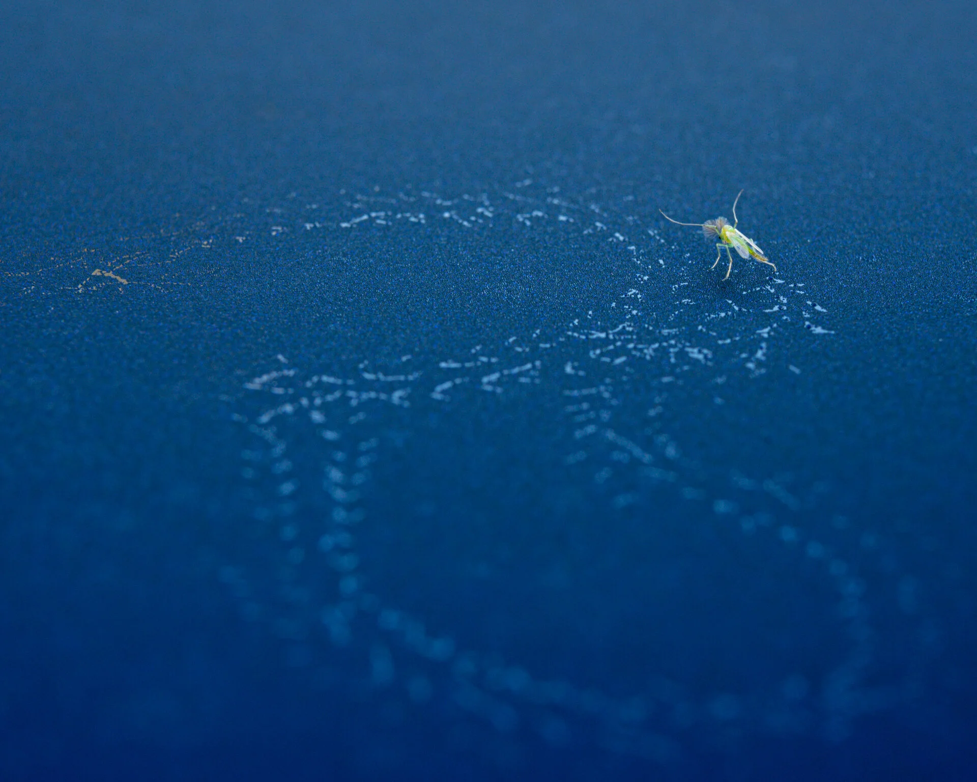 20191110 - Austin Sunrise - 5635.jpg