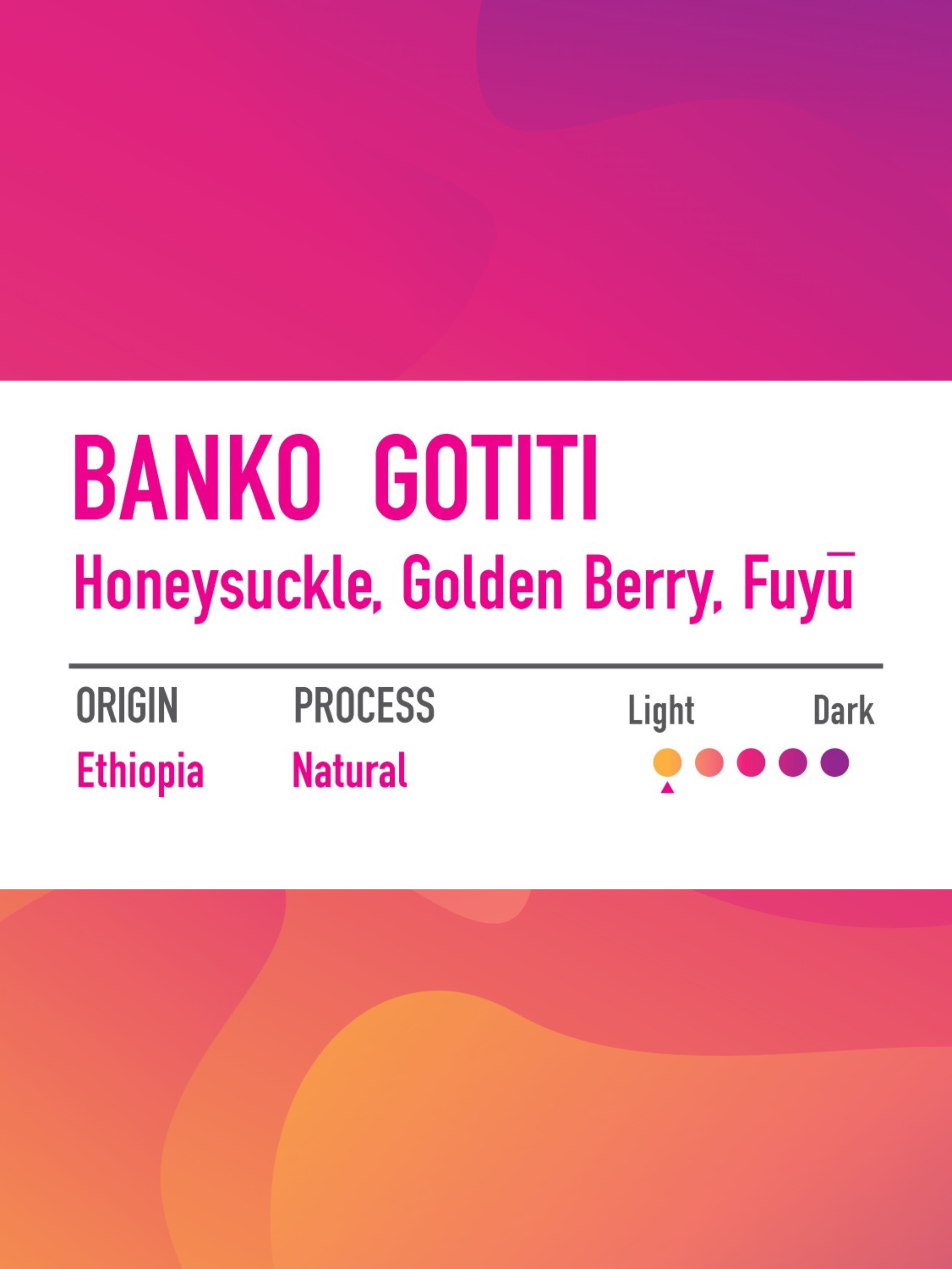 Untitled design-16.png