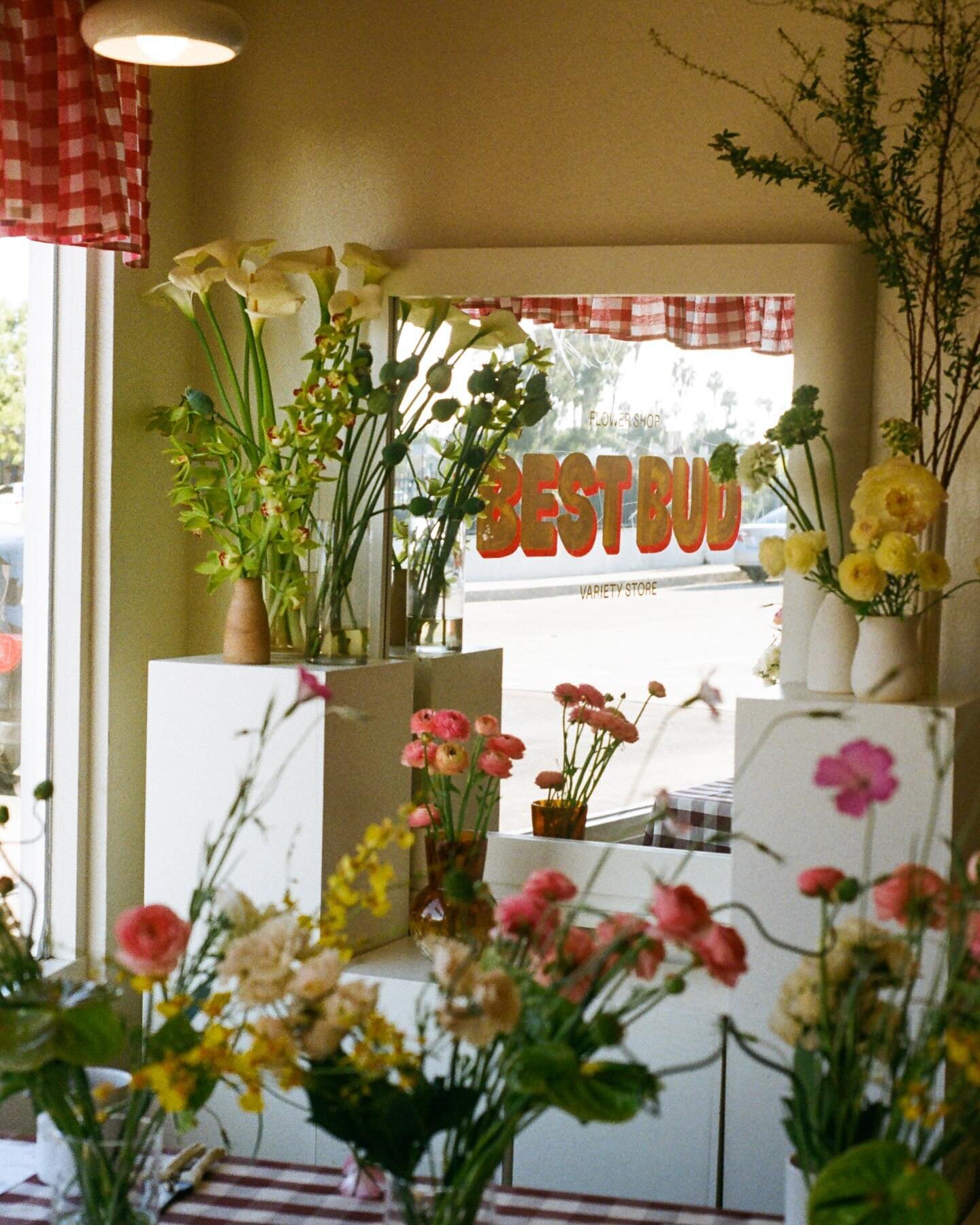 from our first spring flower arranging + capturing your flowers class with @flowers_by_karis !!! really looking forward to our classes this week and having Karis back at the shop!! she is such a wealth of knowledge and I am constantly in awe of her t