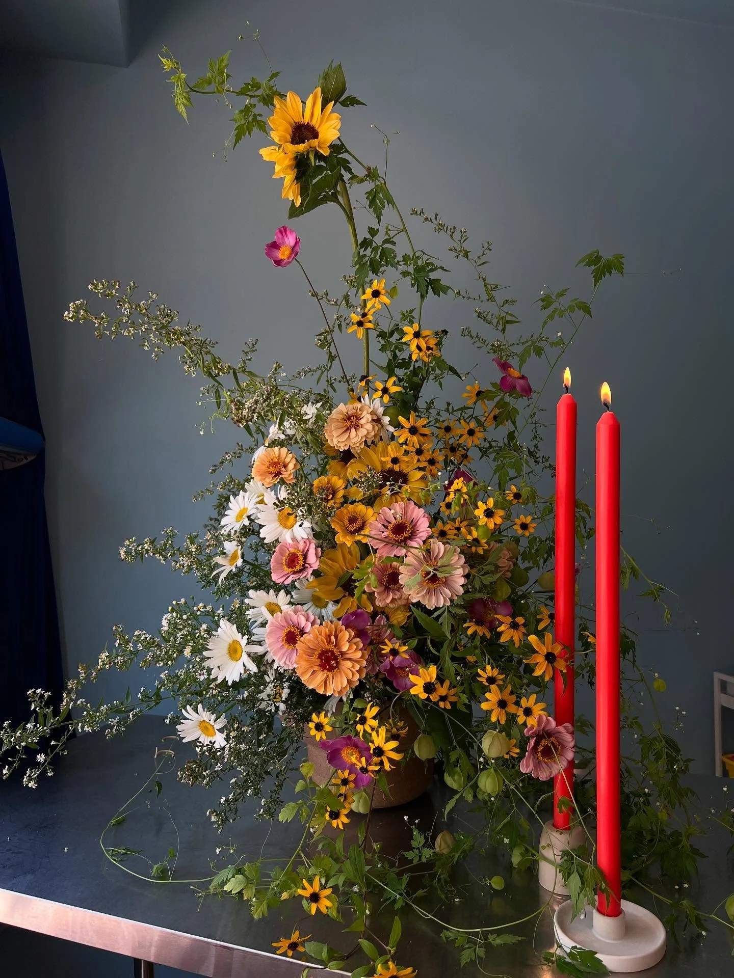 summer in the best bud garden, grown by @cielohillsflowers