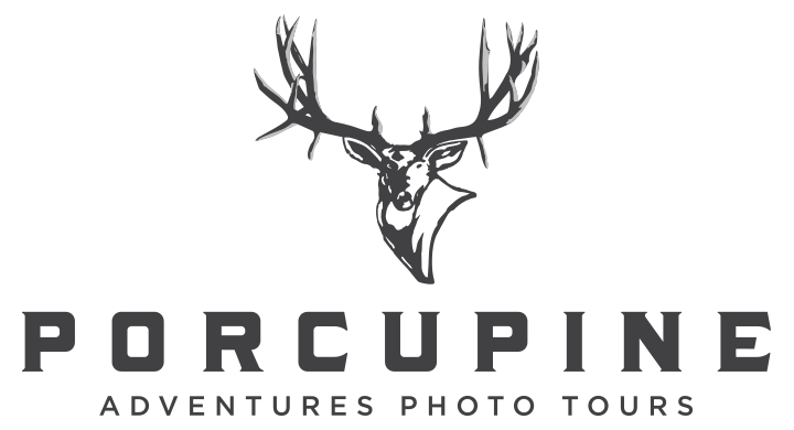 Porcupine Adventures Photo Tours