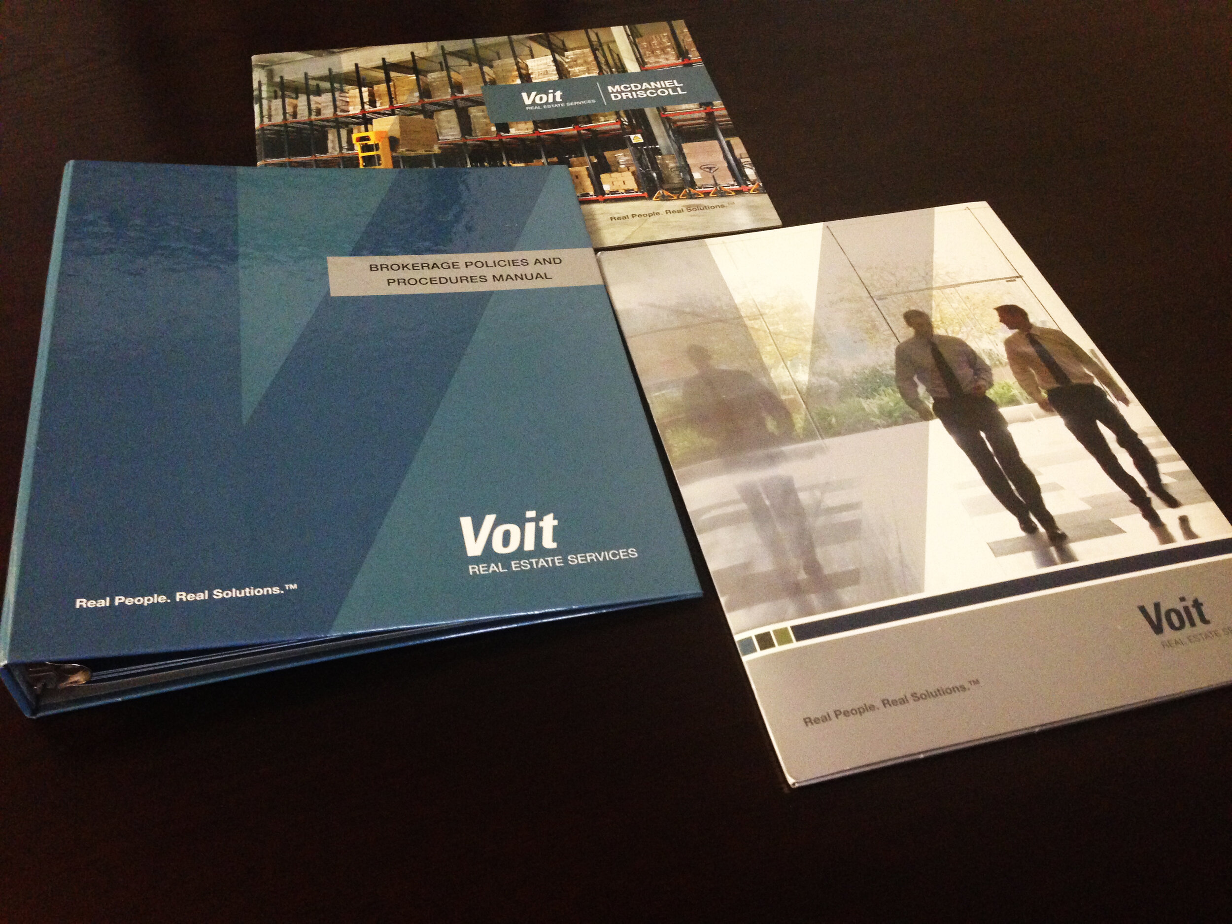 Voit-Print Collateral-1.JPG