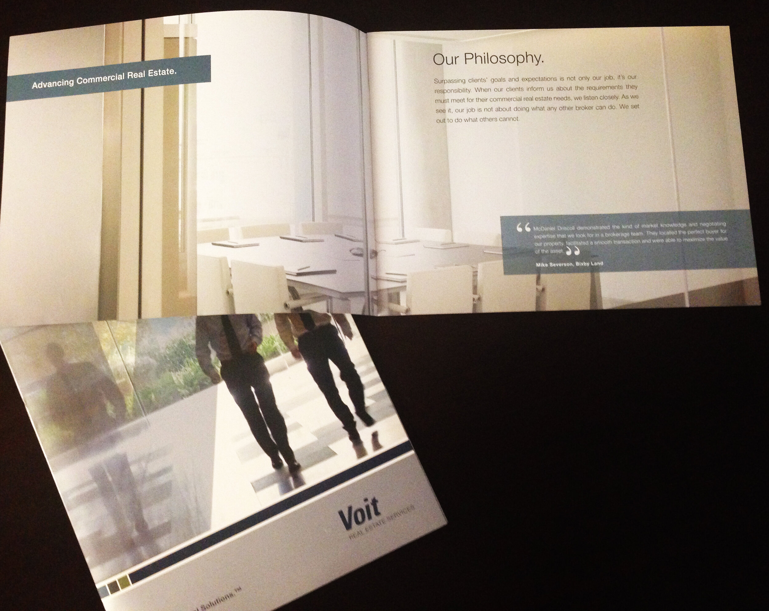Voit-Print Collateral-2.jpg