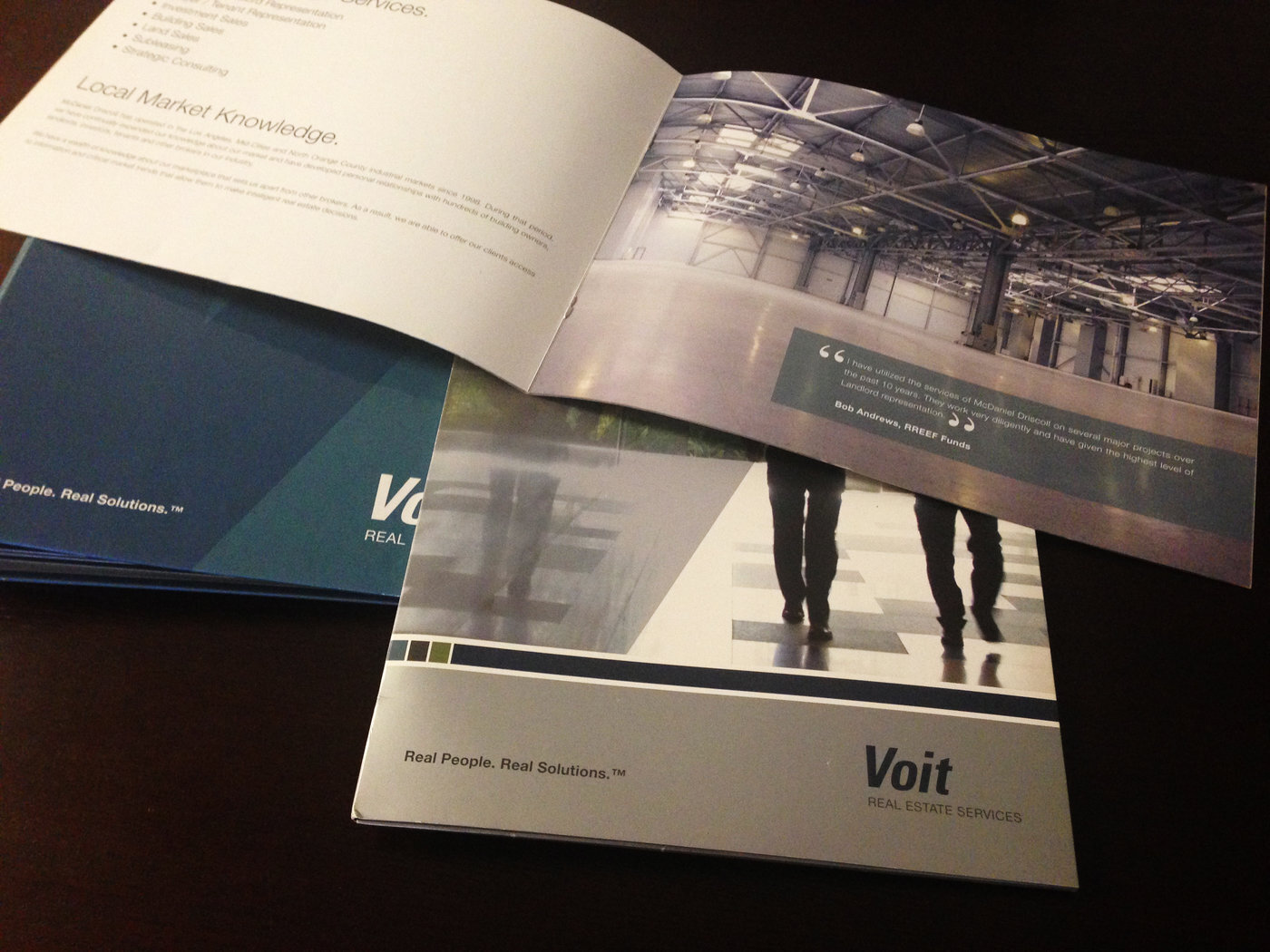 Voit-Print Collateral-3.jpg