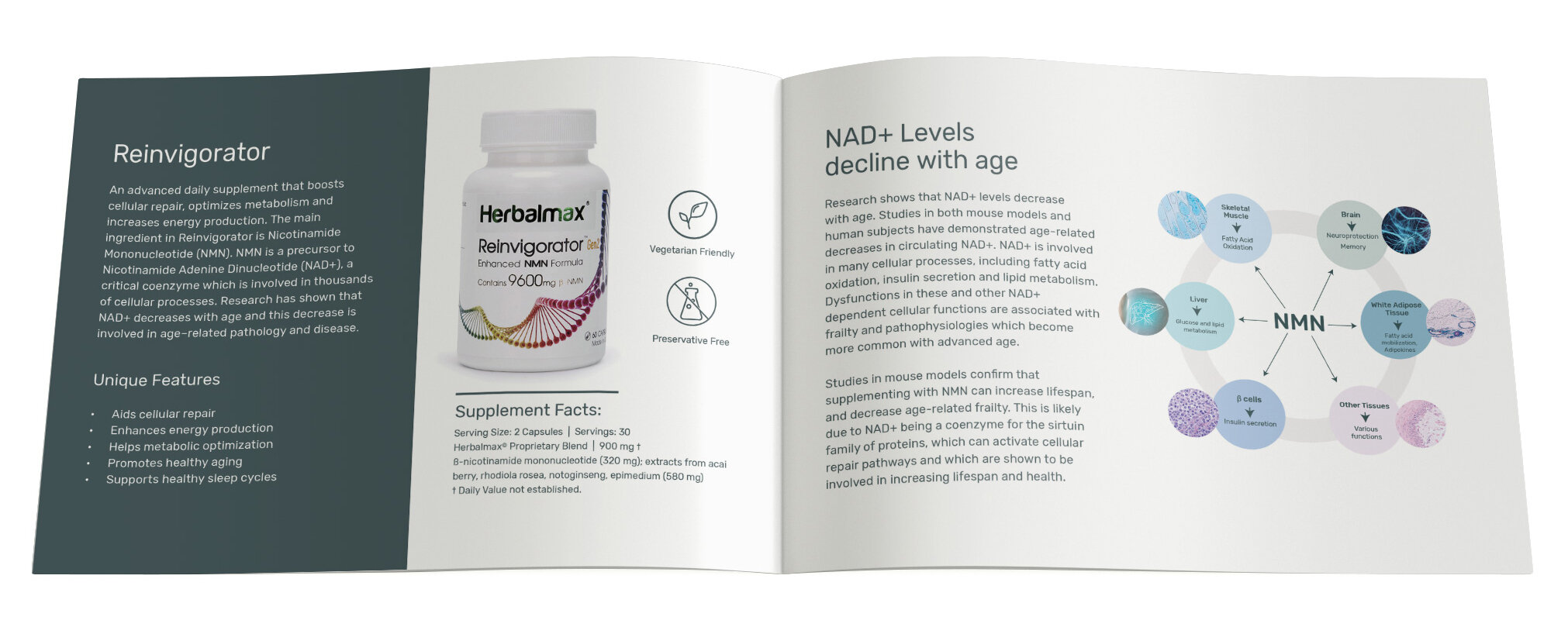 Herbalmax_Product-Brochure_3.jpg