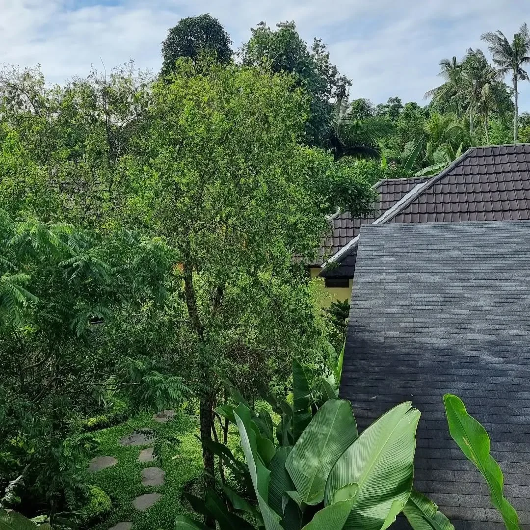 Welcoming 2025 in Ayurvedic style. 

Experiencing this immersion reaffirms my love of a holistic and integrative approach to health; supporting mind, body, and spirit. 

Good food, adequate rest and connection are more powerful than any supplement. 
