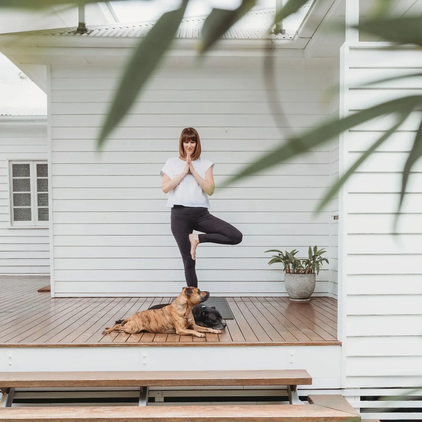 5 reasons why nutrition and yoga go together so well. 

I regularly weave yoga practices including meditation and breathwork into my nutrition sessions - the two are a perfect pairing. Here's why:

-Yoga cultivates mindfulness and mind/body connectio