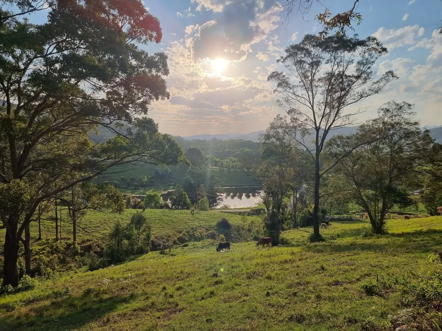 Peaceful moments, stunning beauty, friendly locals and delicious food in northern NSW 🌄

#Australia #mothernature #yogiholiday