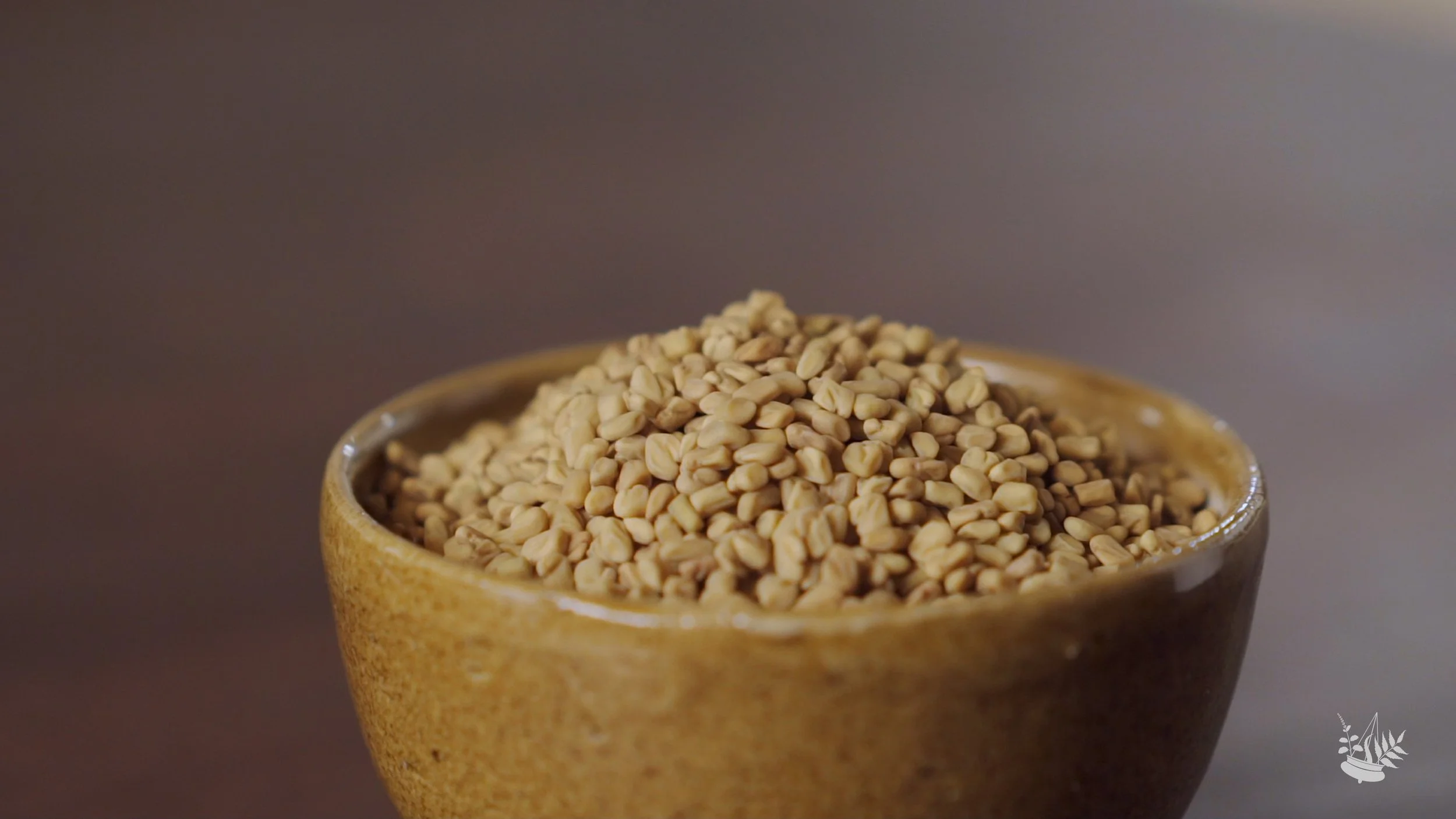 Fenugreek 01.jpeg