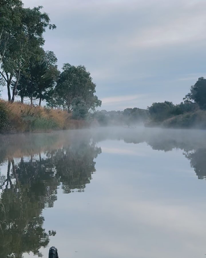 Barely a sound&hellip;&hellip;

.
#regenerativeagriculture #regenerativefarming #biodiversity #southerntablelands #yassvalley #gundaroo 
#farmingwithnature 
#biodynamicfarming 
#nguurruufarm #landcare 
#nativegrasslands #Gundaroo #VisitYassValley #tr
