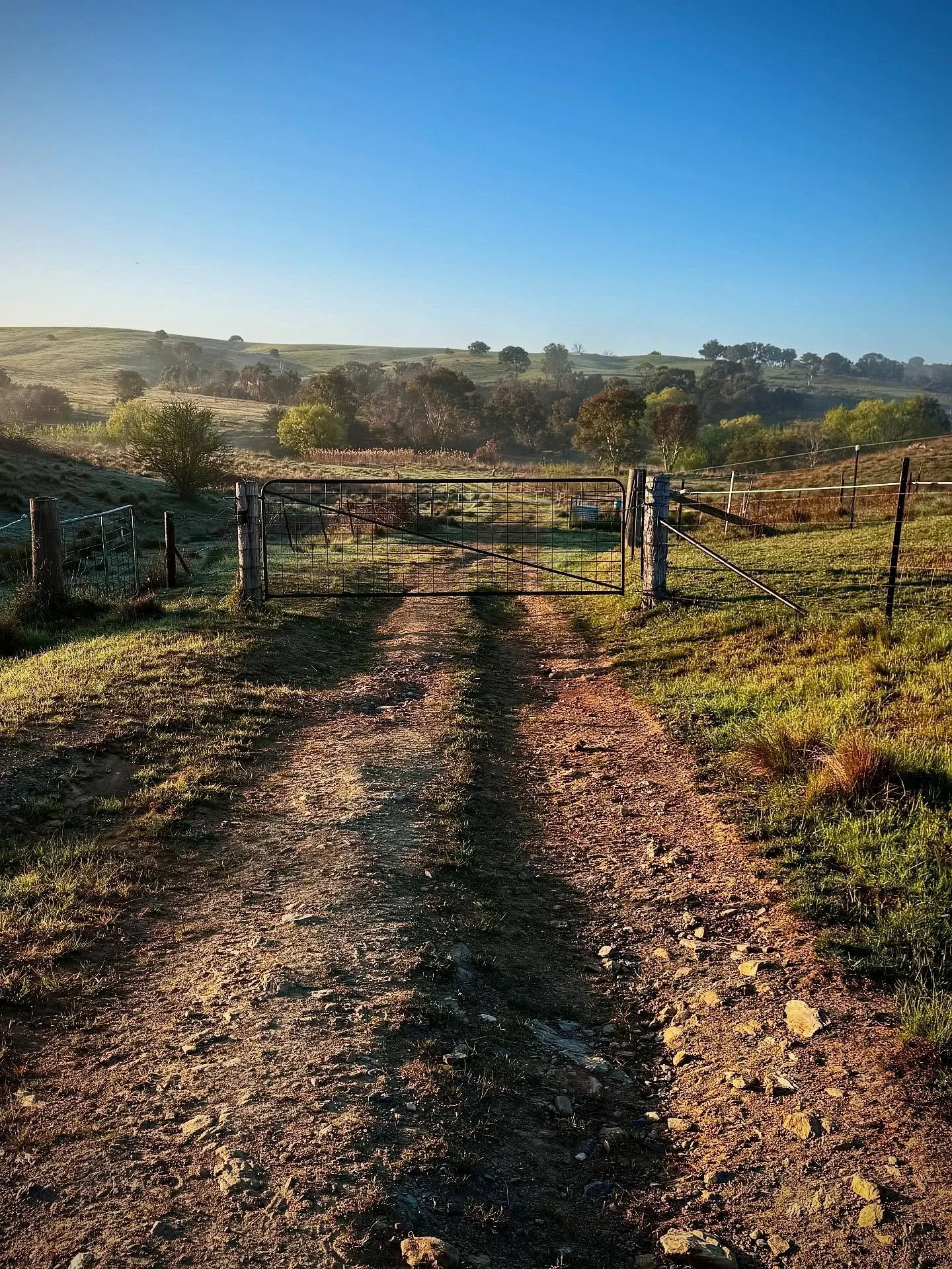 Can’t get to the end of the year without a break?
Need an early mark from the madness?
Get away to a place that moves a little  more slowly…..
Book your stay via link in bio
.
#SummerHolidays #SummerHolidayDestination #SummerHoliday