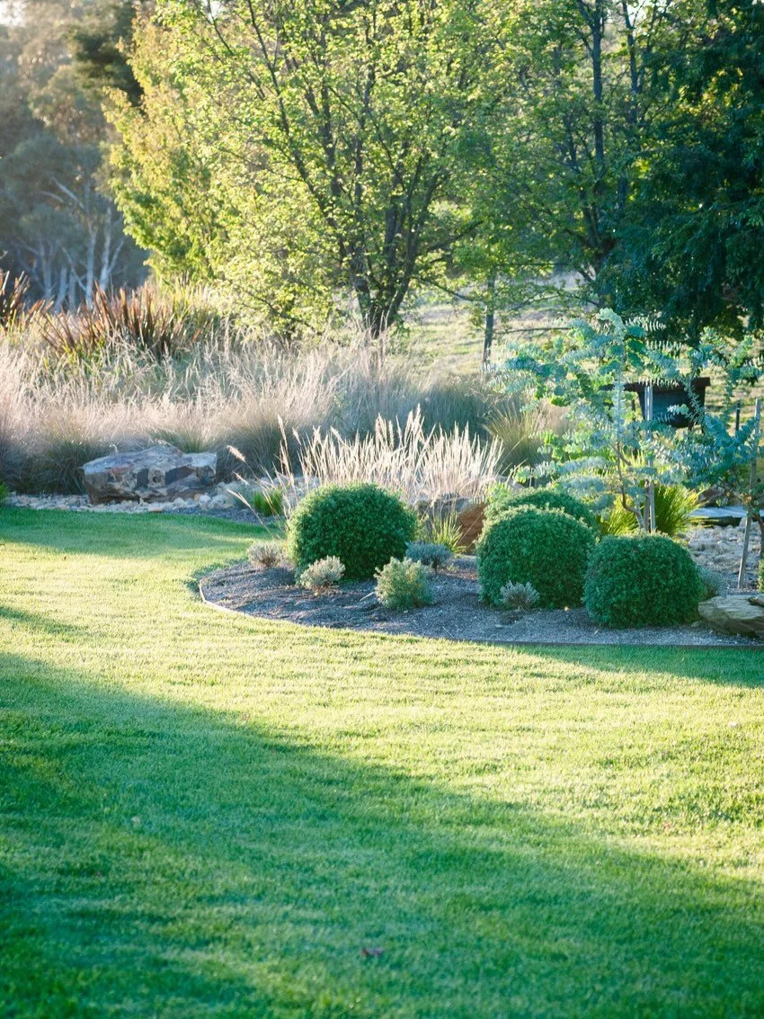 Been teaching myself a bit of garden design, having been inspired by some beautiful country gardens and their owners/designers (tagged to this post - worth following). 

When we took over the farm, we inherited some well-established deciduous trees, 