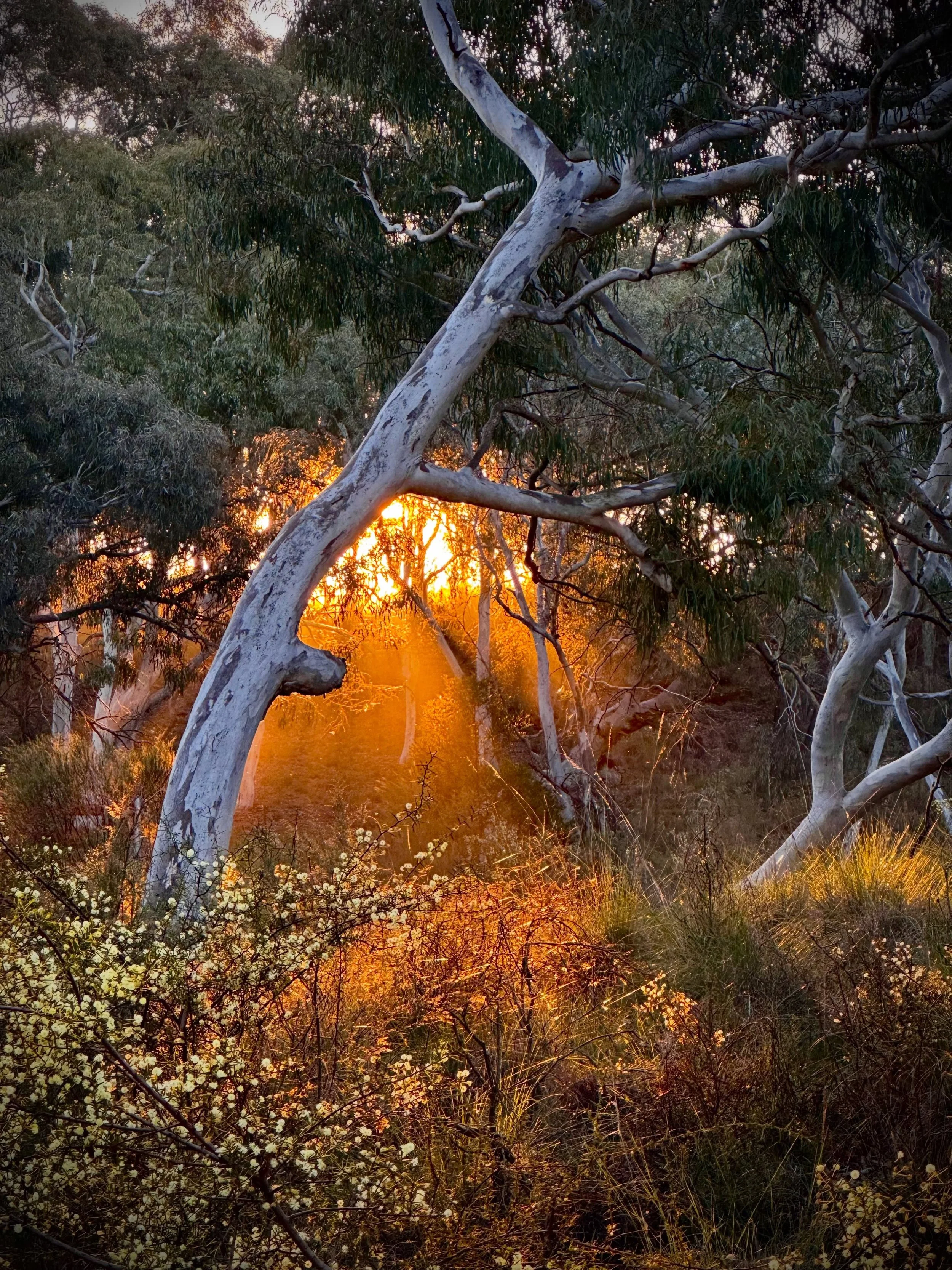 Last light.