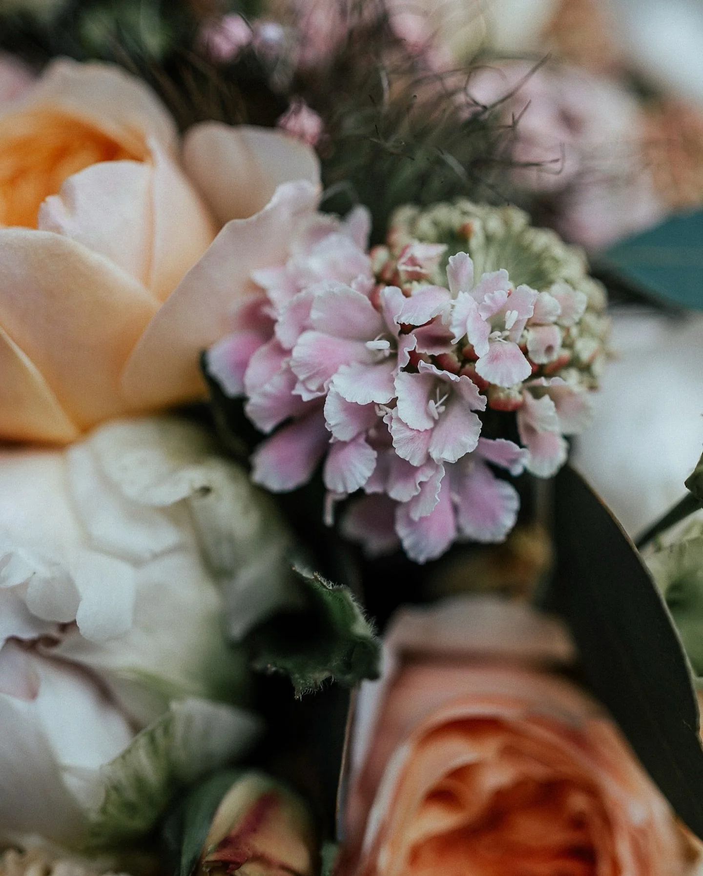 MAI-HOCHZEIT

Ein wundersch&ouml;ner Maitag in Lenzburg 🌸
Die standesamtliche Trauung im M&uuml;llerhaus, das Paarshooting mit Oldtimer auf der Wiese und danach ein fr&ouml;hliches Fest in der Waldh&uuml;tte✨

Echte Hochzeitsmomente🥰

&amp; die Tor