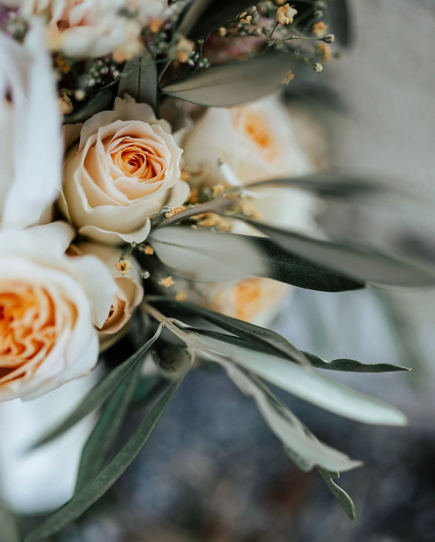 HOCHZEIT AM RHEIN 📸

Ich durfte diese wundersch&ouml;ne Sommerhochzeit direkt am Wasser begleiten😍

Die Braut machte sich direkt bei der Location mit ihrer Trauzeugin bereit und wurde dort von der talentierten @susannegiovanettoni.styling gestylt✨
