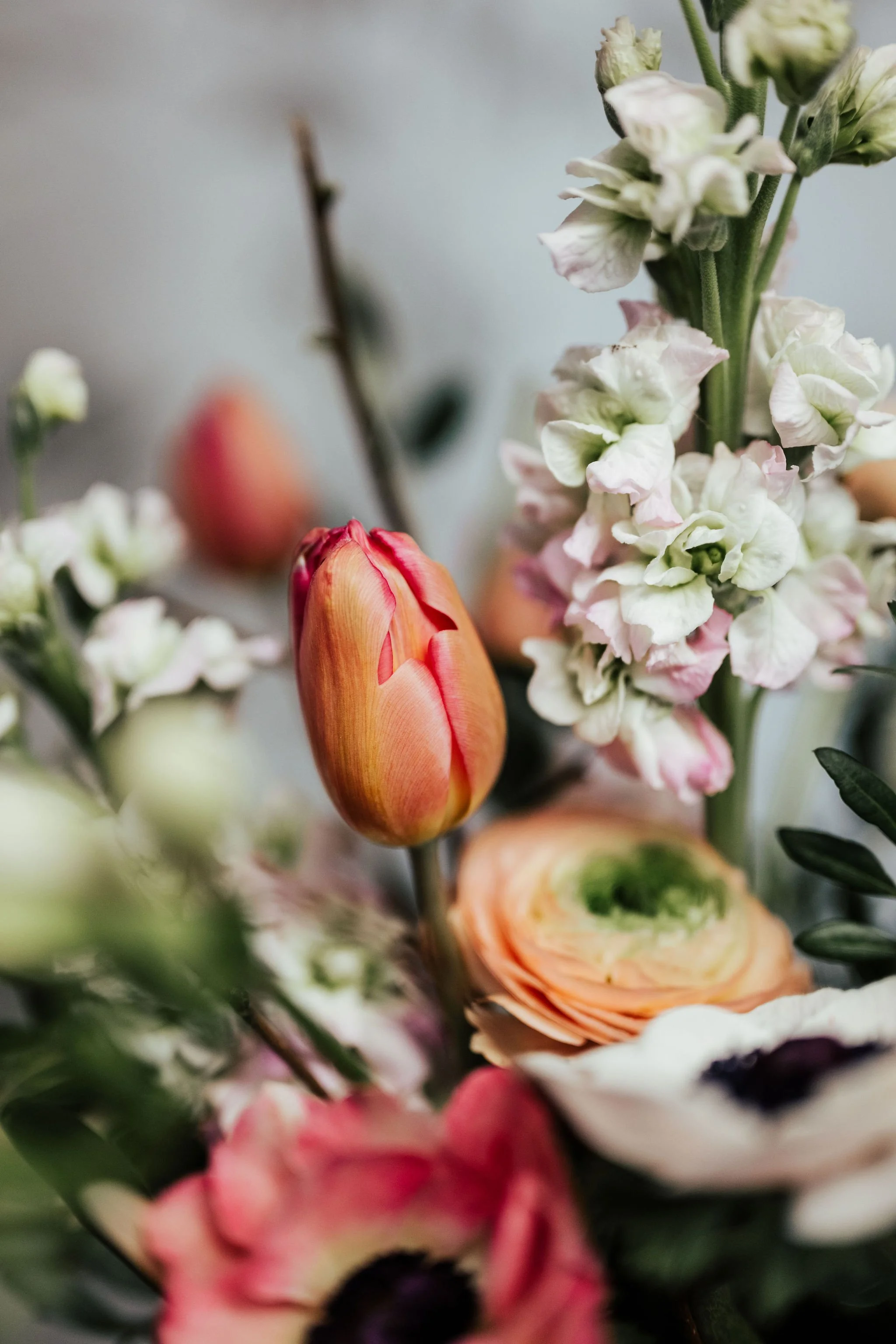 Business Fotos von Beka fotografiert Blumenstil Dürnten