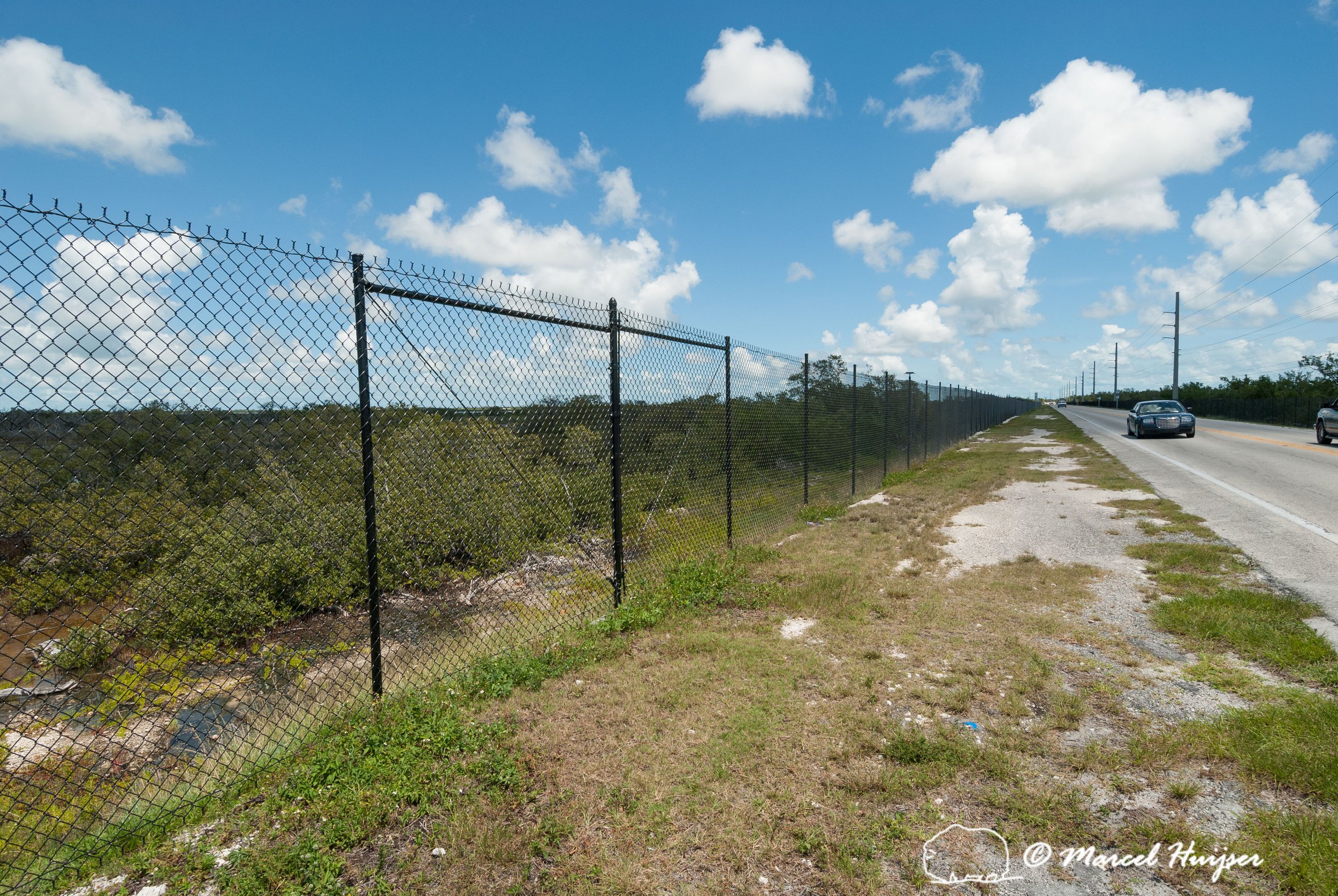 _DSC0072 Wildlife fence (2.4 m high) for Key deer along US Hwy 1, Big Pine Key, Florida, USA.jpg