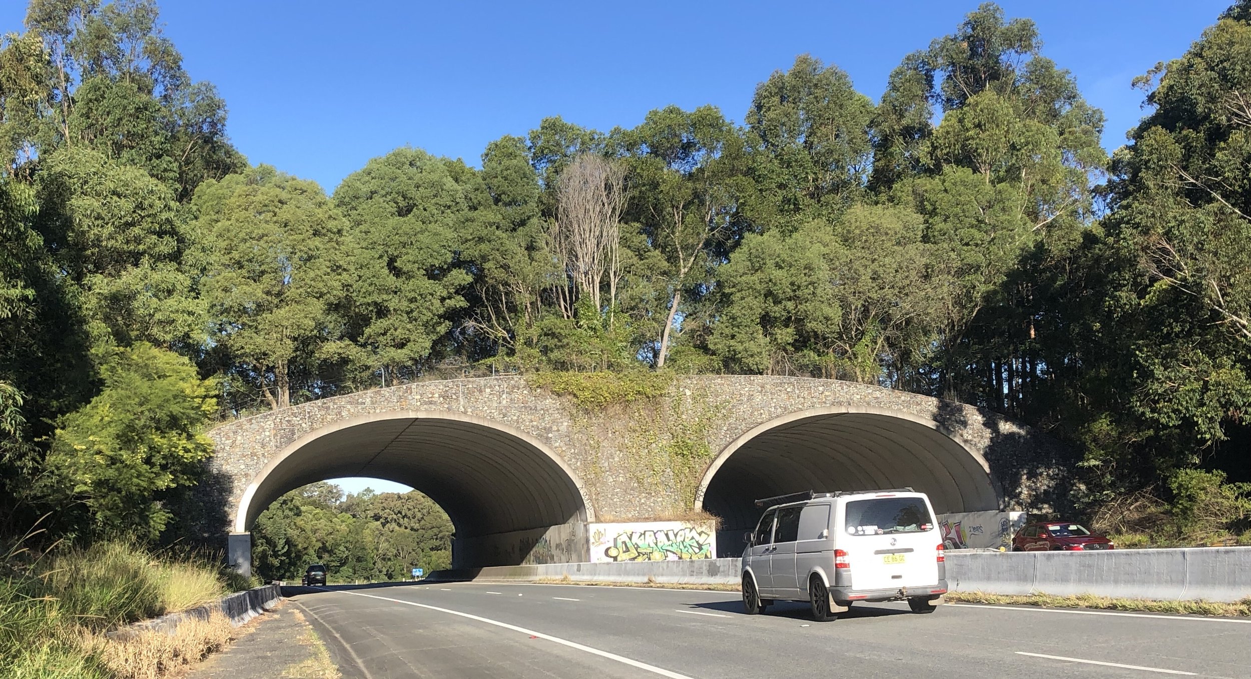 Australia’s first land bridge at Yelgun, north-east NSW (photo: Brendan Taylor).