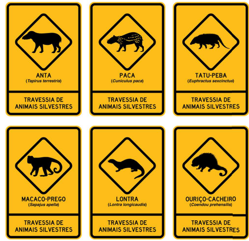 Brazil Launches Landmark Guide for Wildlife-Safe Transportation