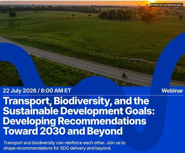 Webinar: What's Next for Transport and Biodiversity After 2030?