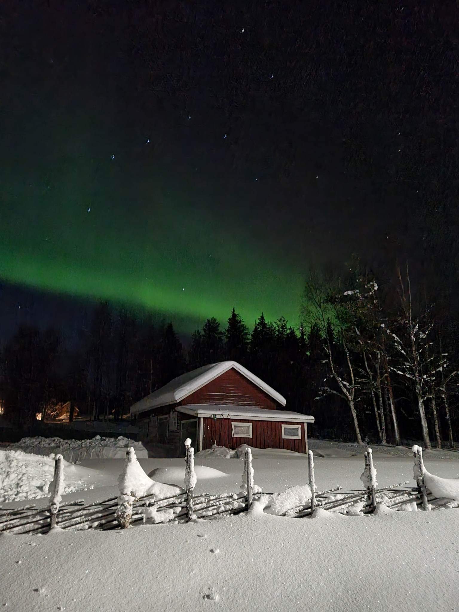 norrsken i kaunis.jpeg