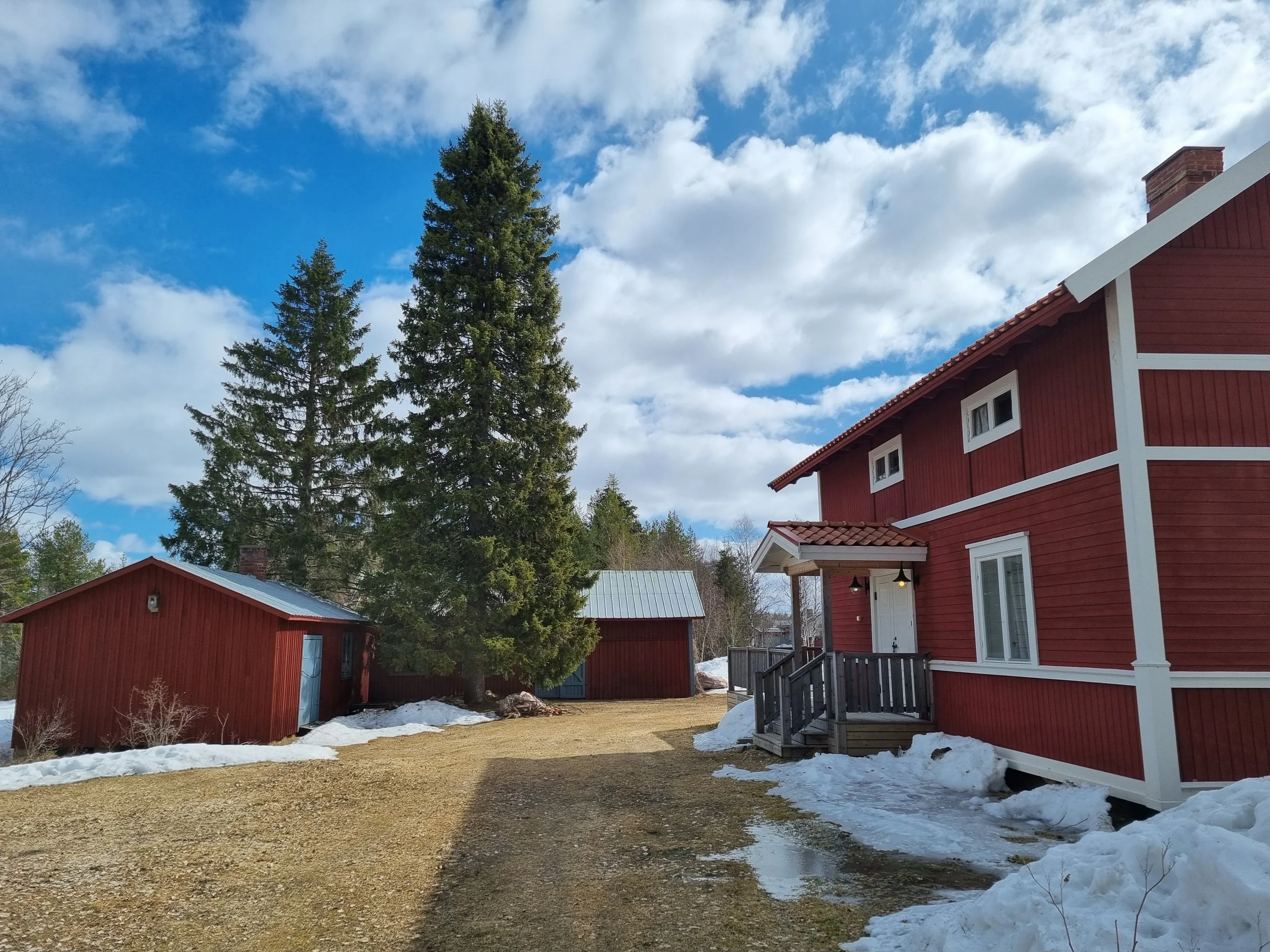 lovikka-exterior-yard.jpg