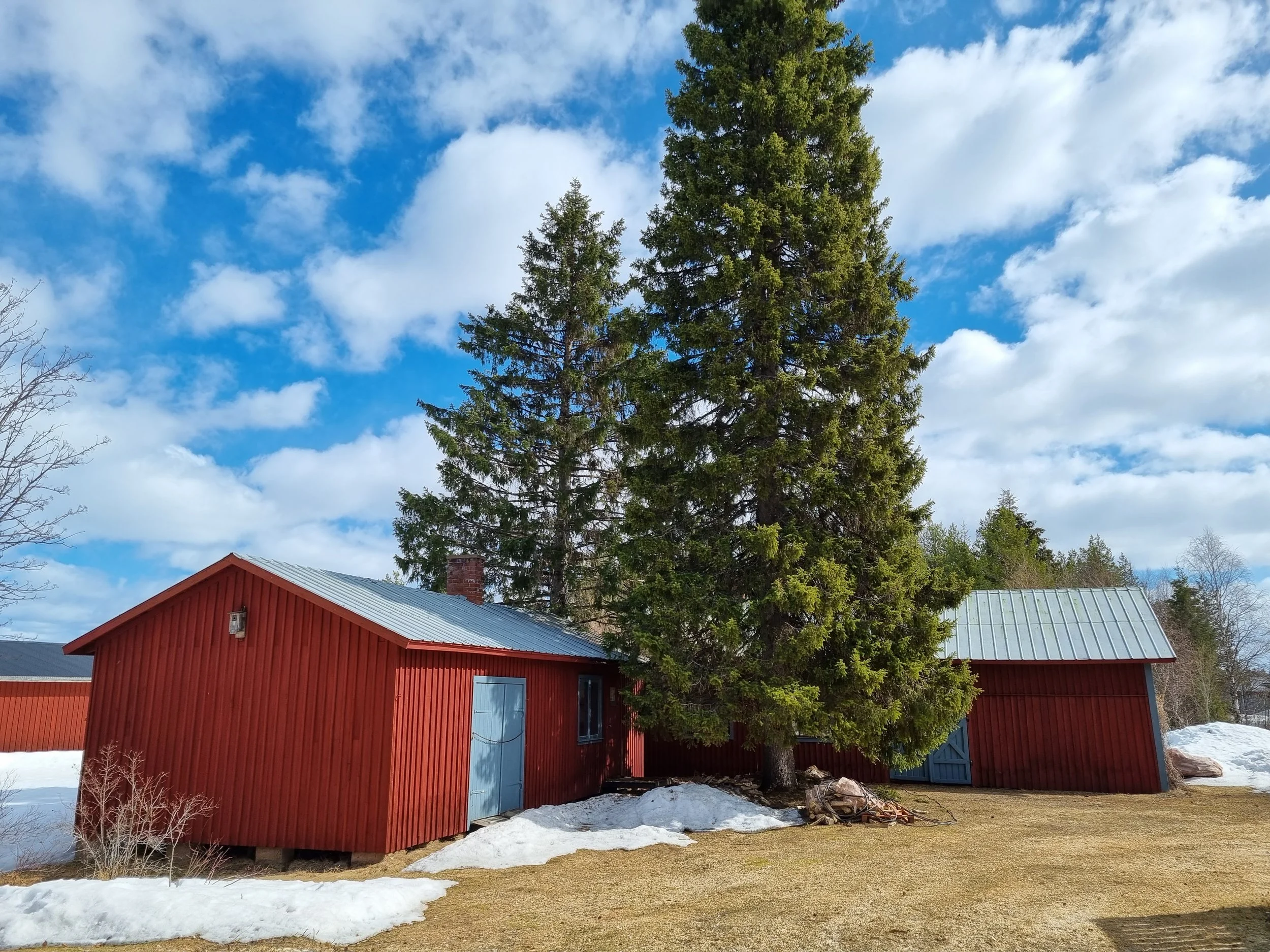lovikka-exterior-barns.jpg