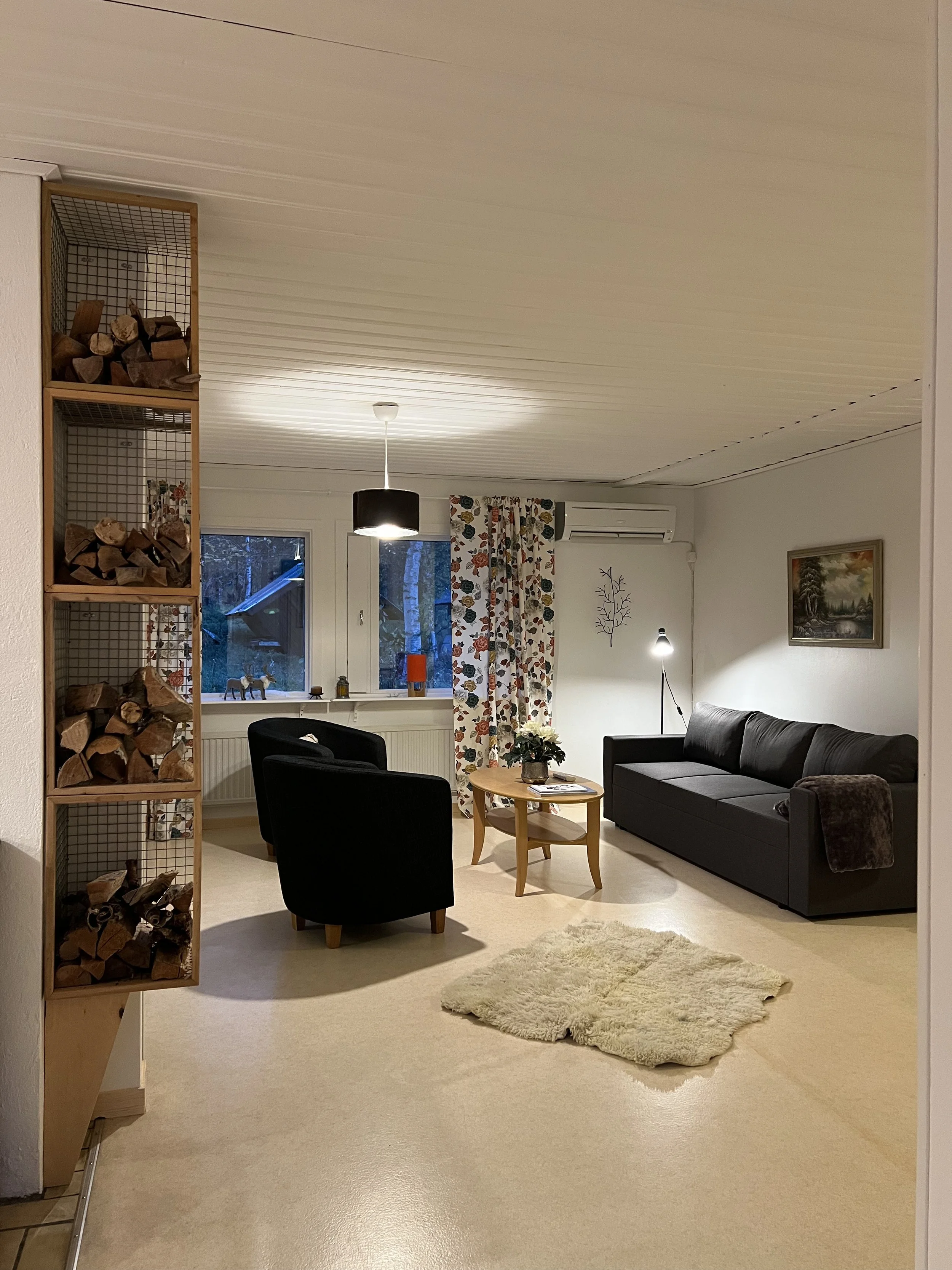 Sala con legna.jpg