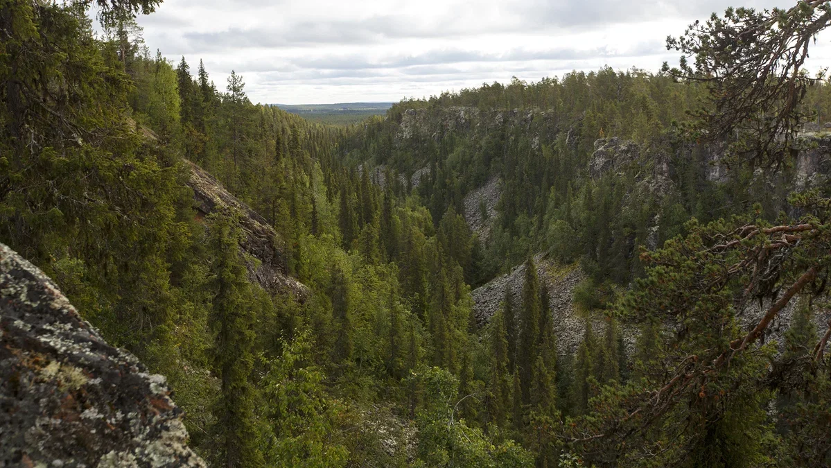 Bild: Länsstyrelsen, Naturkartan