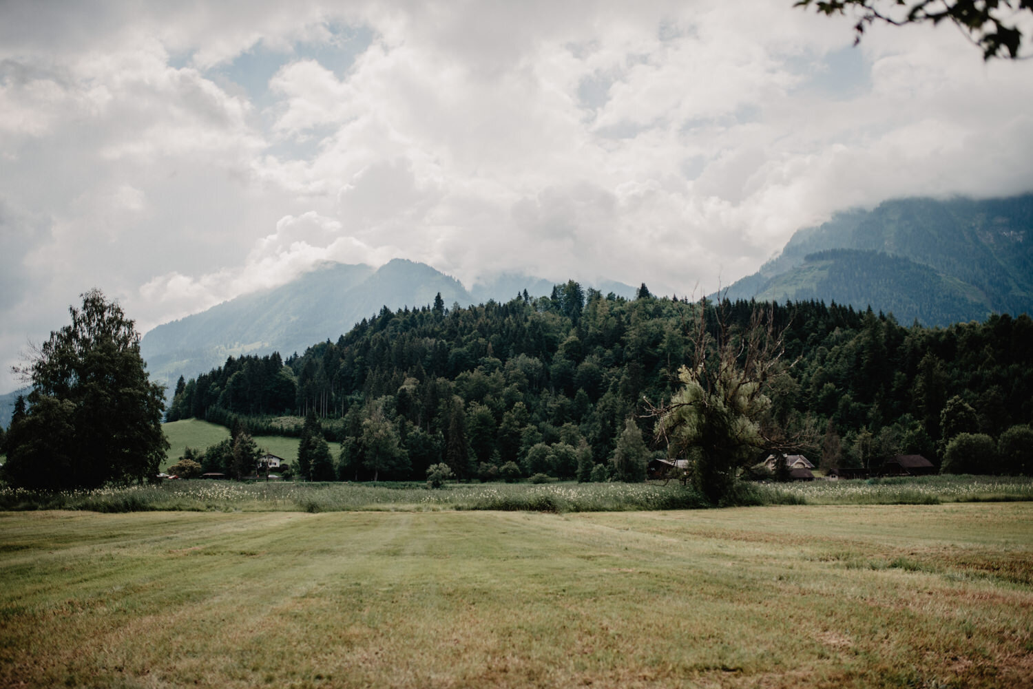 To connect with Hackeralm Goldegg, log in or create an account. Log In. or Agricultural Service. Like Mountain FRESH date auf der Hacker-Alm. SEP28. Hackeralm Goldegg - Goldegg, Salzburg, Austria | Facebook