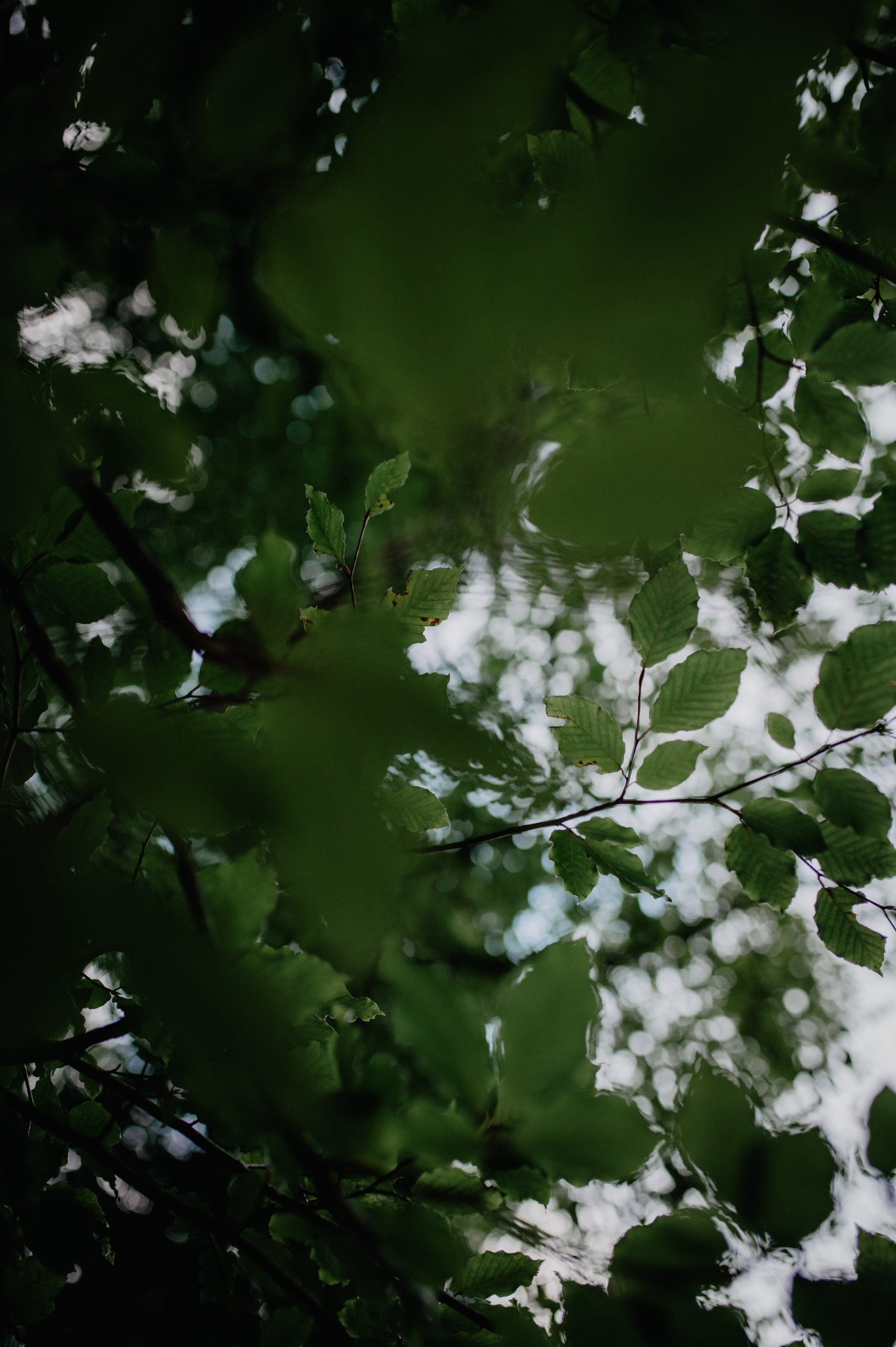 Riverside-Couple-Shoot_MissFrecklesPhotography (13 von 33).jpg