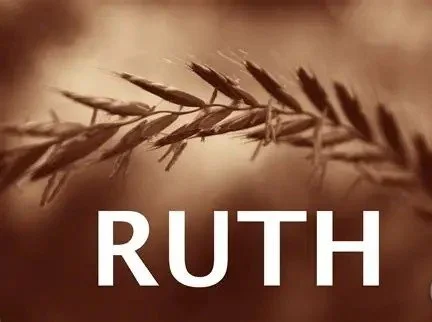 Interfaith Lunch & Learn @ 12 pm The Book of Ruth and the Sacred Call to Welcome