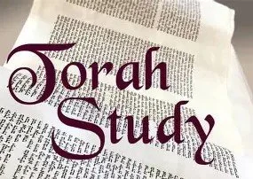 Torah Study & Bagel Nosh @9:30am