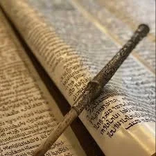 Shabbat Service and Torah Reading @ 6:30pm