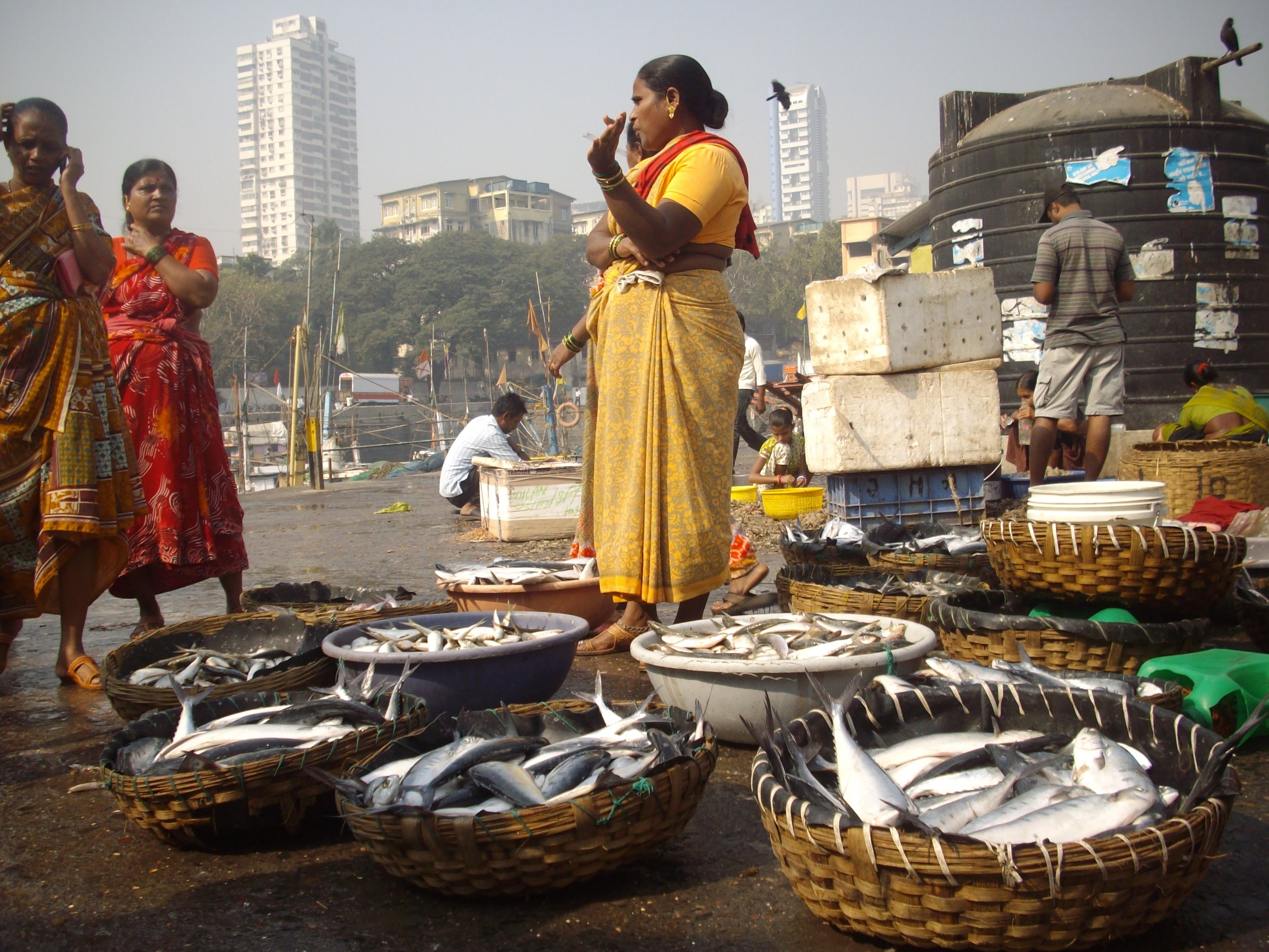 'Fish_Auction'_at_Sassoon_Docks_in_Mumbai..jpeg
