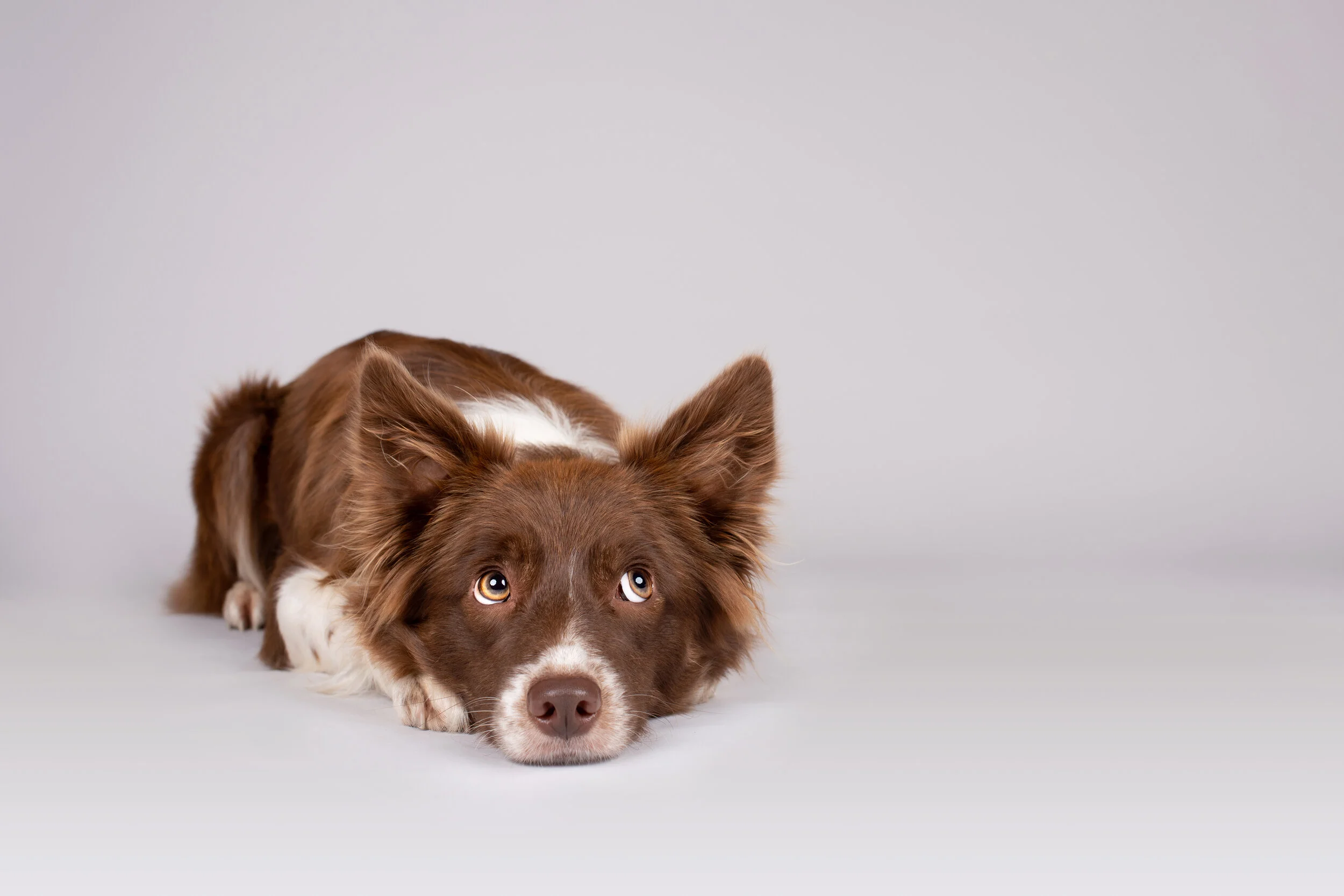 AdobeStock_300107362.jpeg