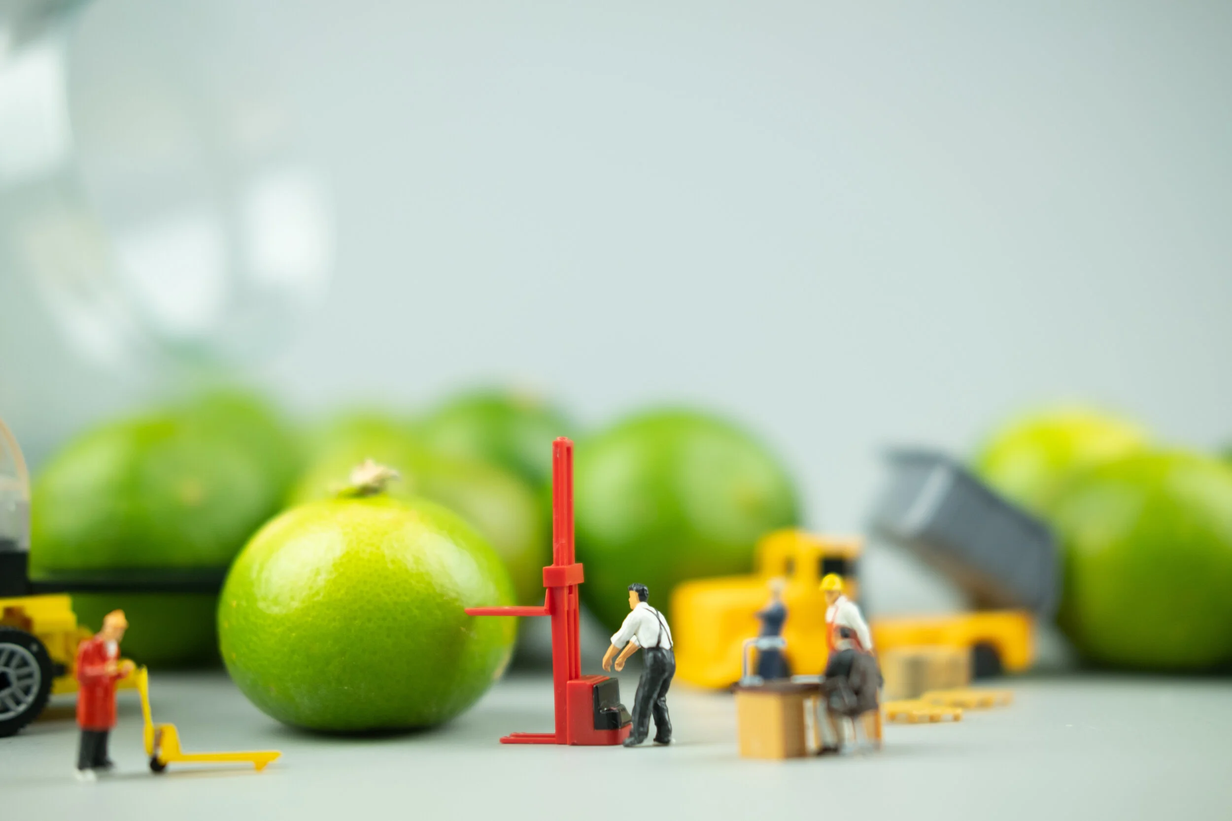 General 1 — Fruition