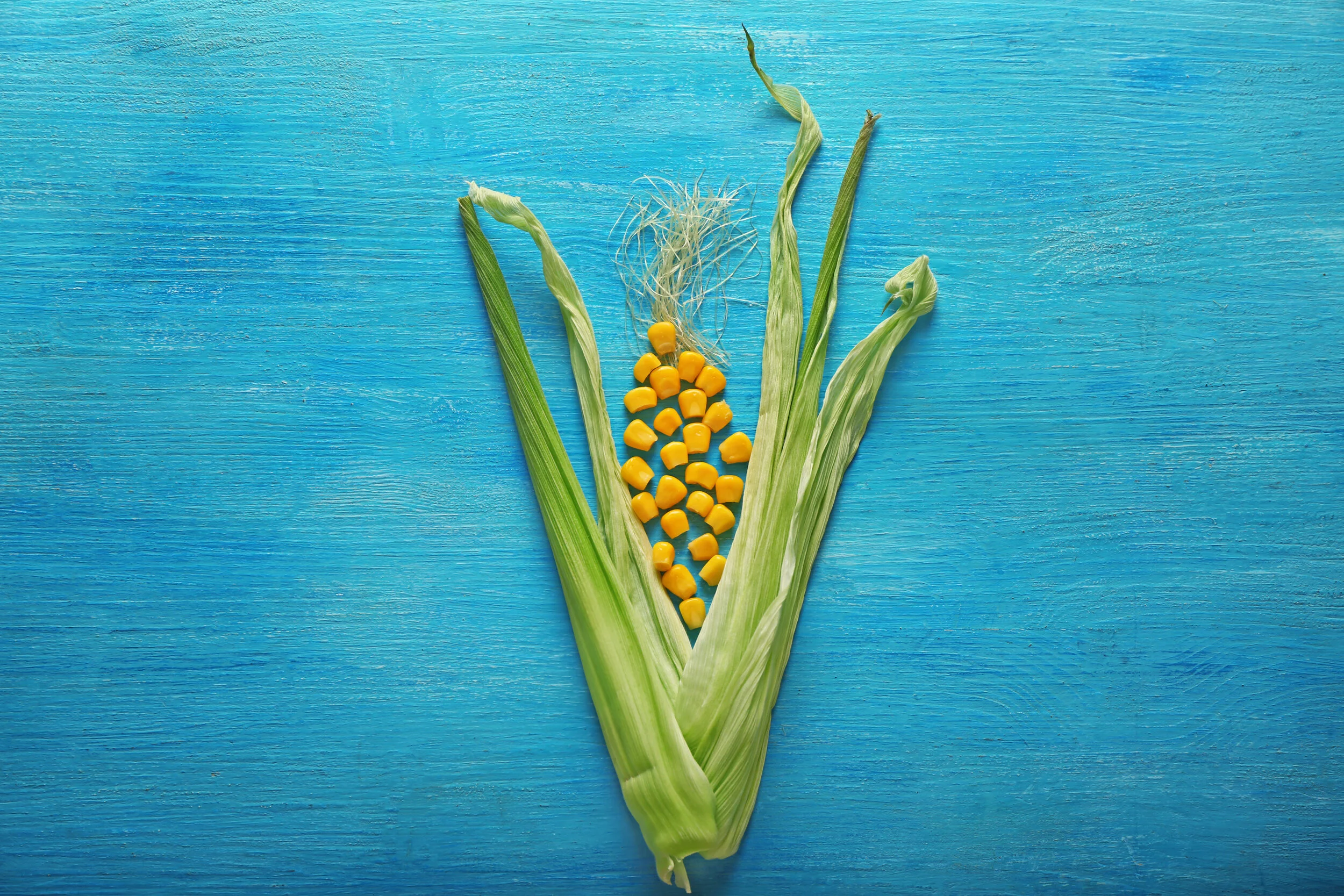 AdobeStock_218772657.jpeg